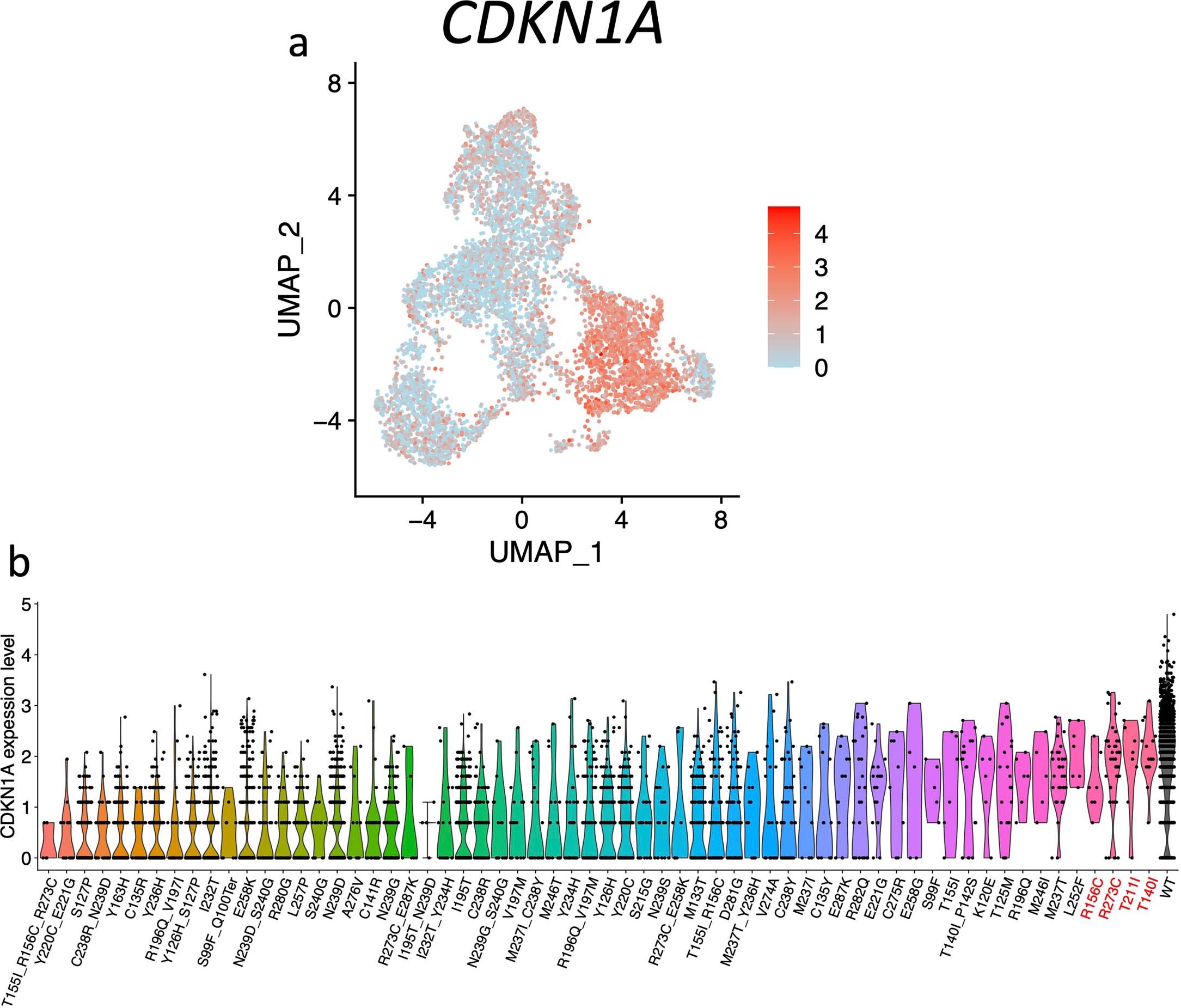 Extended Data Fig. 5: CDKN1A expression level from U2OS cells with various TP53 genetic variants.