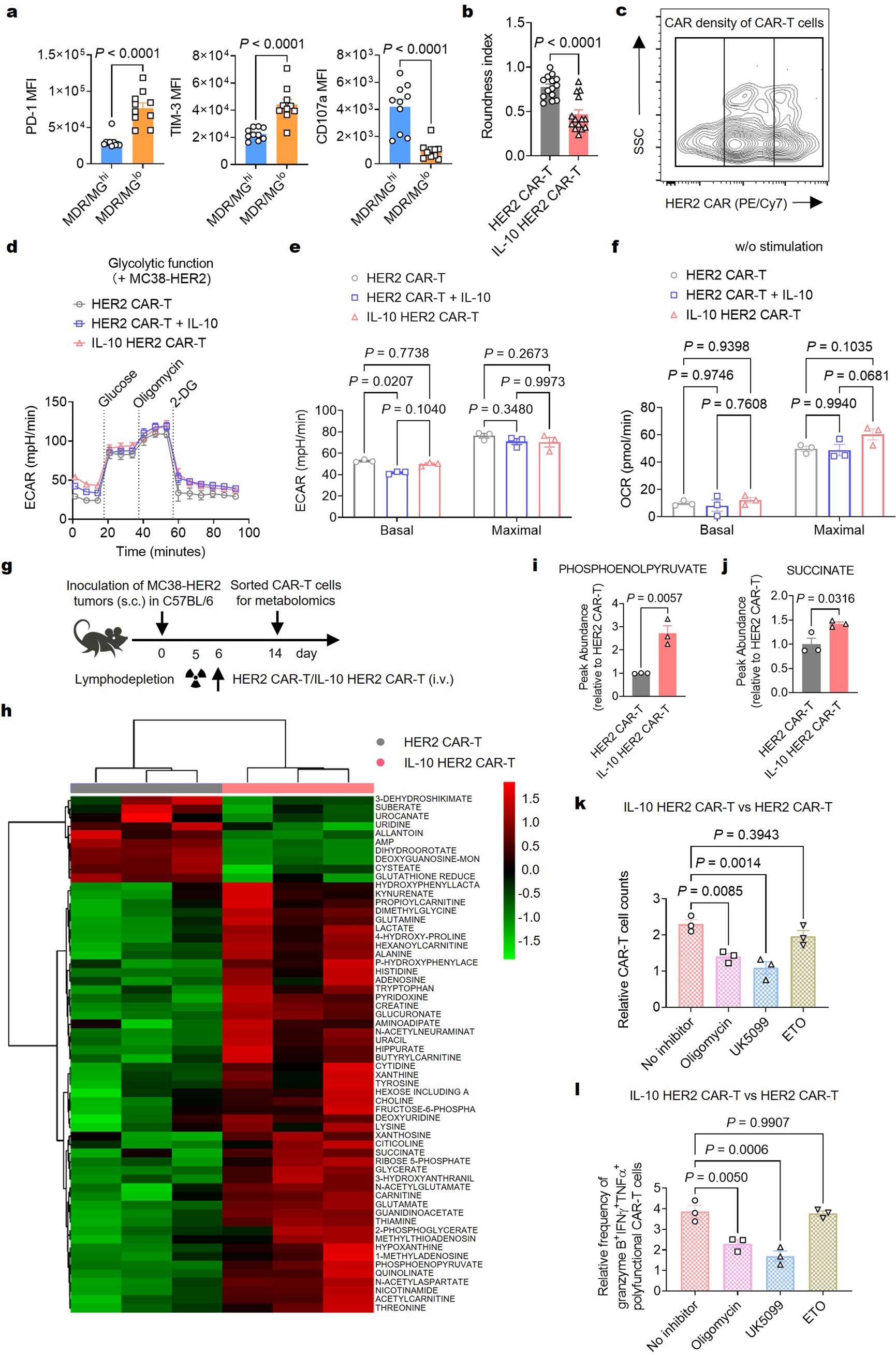 Extended Data Fig. 4: IL-10 expression improved mitochondrial fitness and increased the levels of pyruvate production intermediates and TCA cycle intermediates in CAR-T cells.