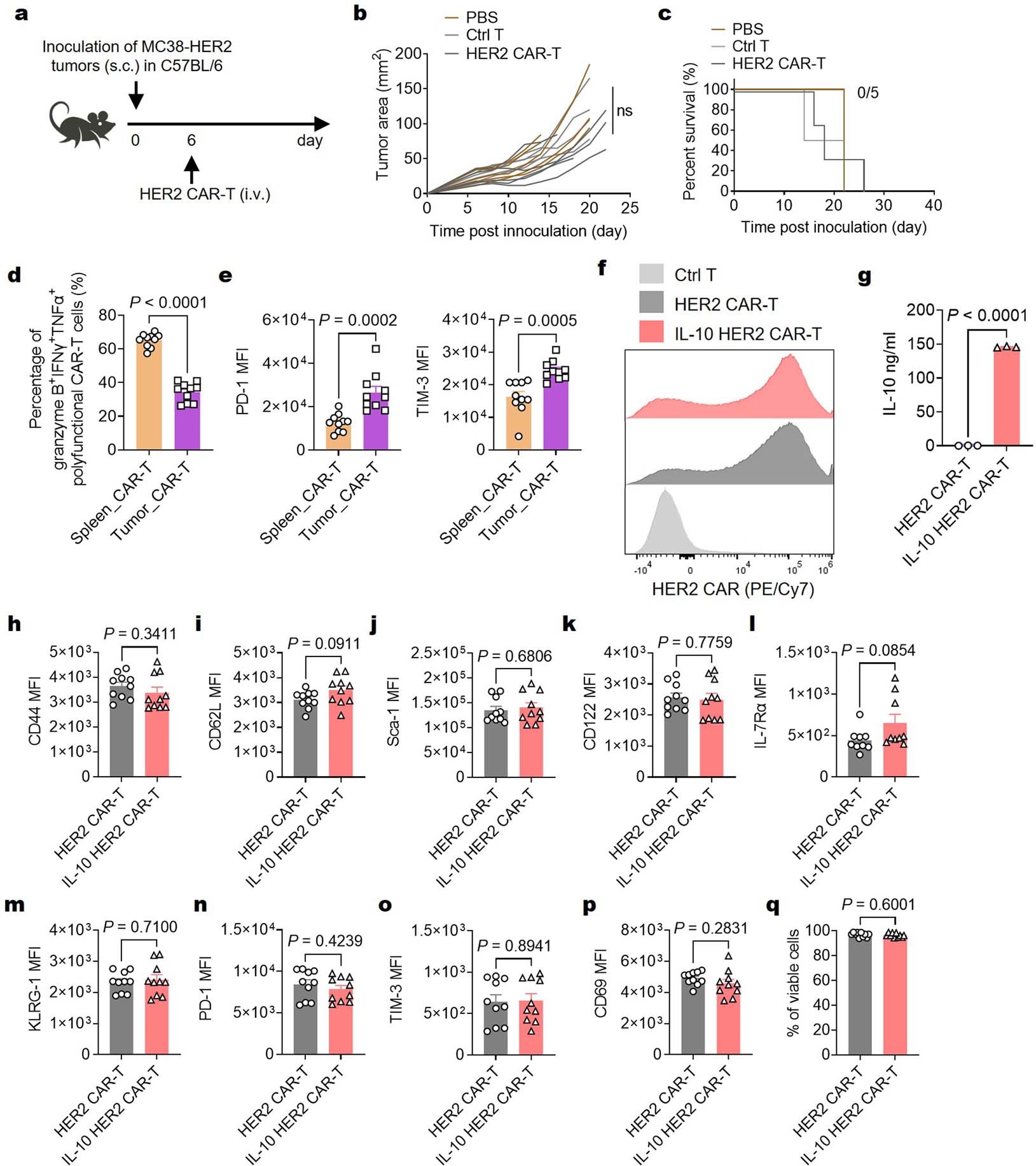 Extended Data Fig. 1: In vitro characterizations of IL-10 CAR-T cells prior to infusion.