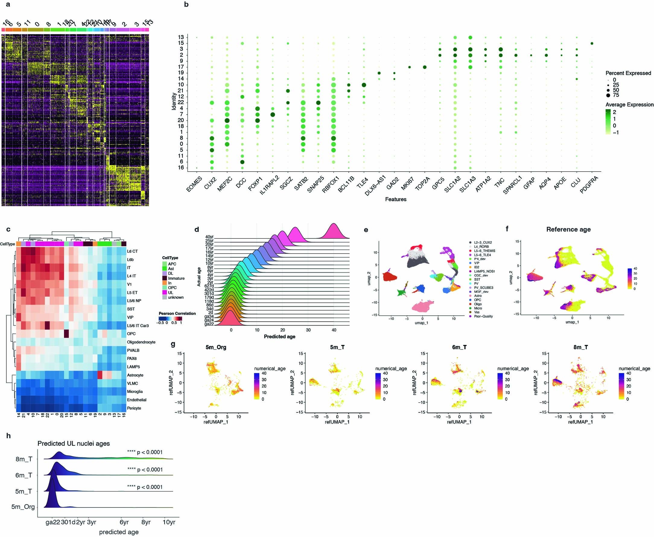 Extended Data Fig. 7: Transcriptomic analysis of integrated snRNA-seq datasets.