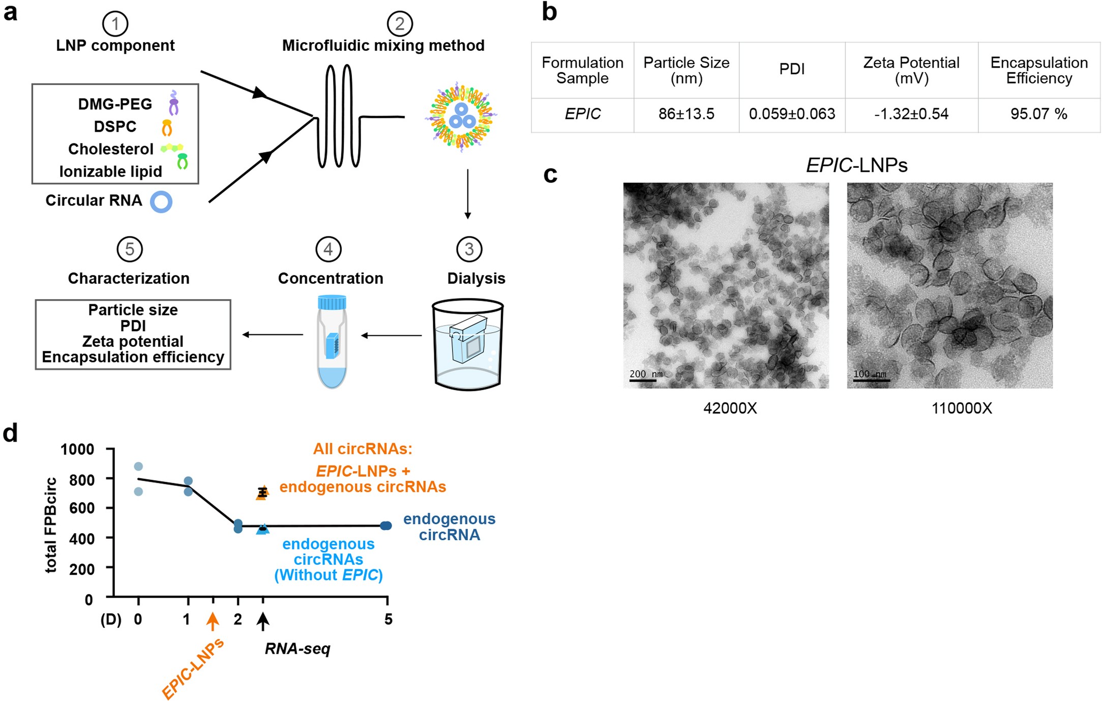 Extended Data Fig. 9: Ds-cRNAs are encapsulated by ionizable LNPs.