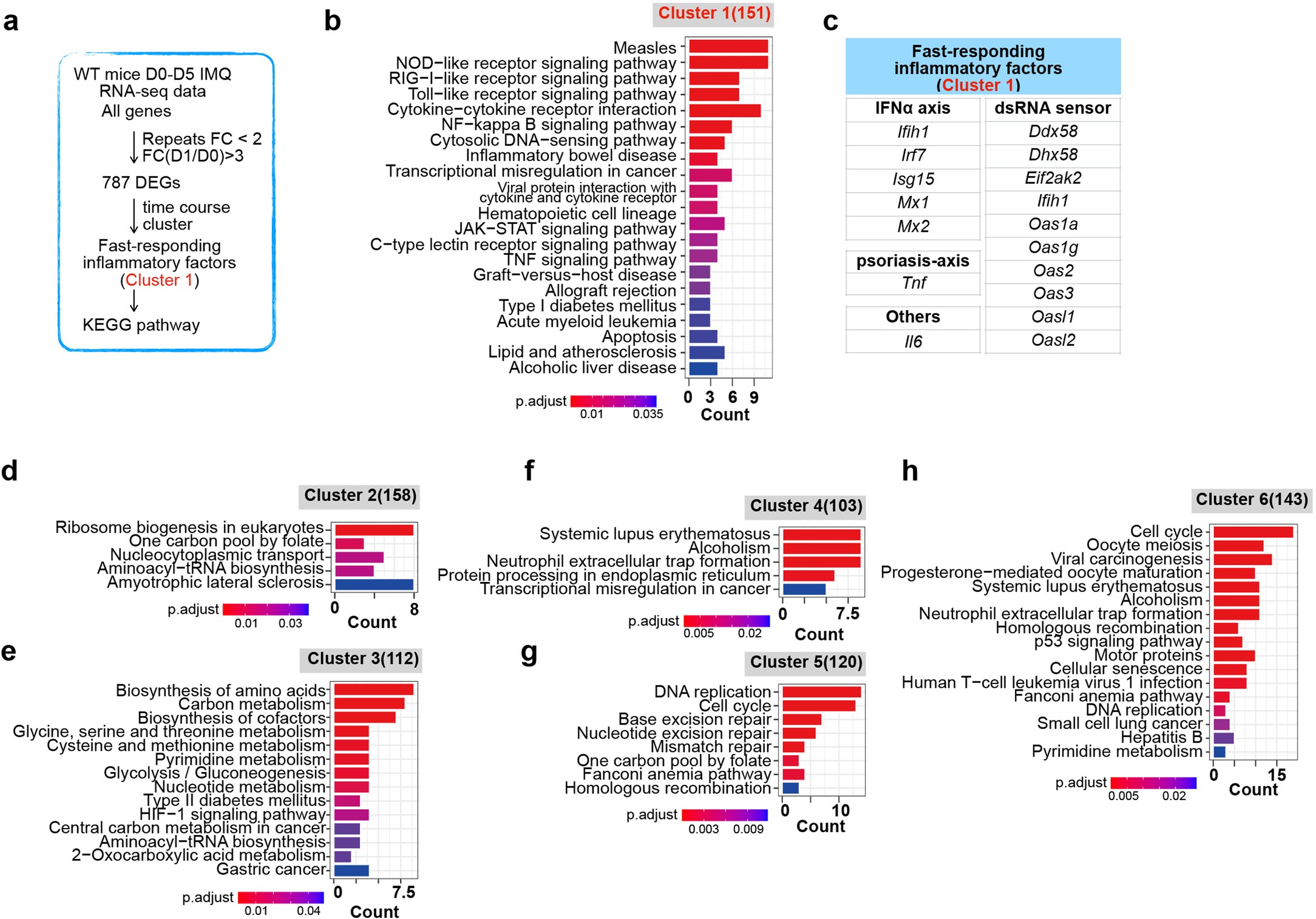 Extended Data Fig. 5: Enrichment analyses reveal up-regulated pathways in the initial stage of psoriasis pathogenesis.