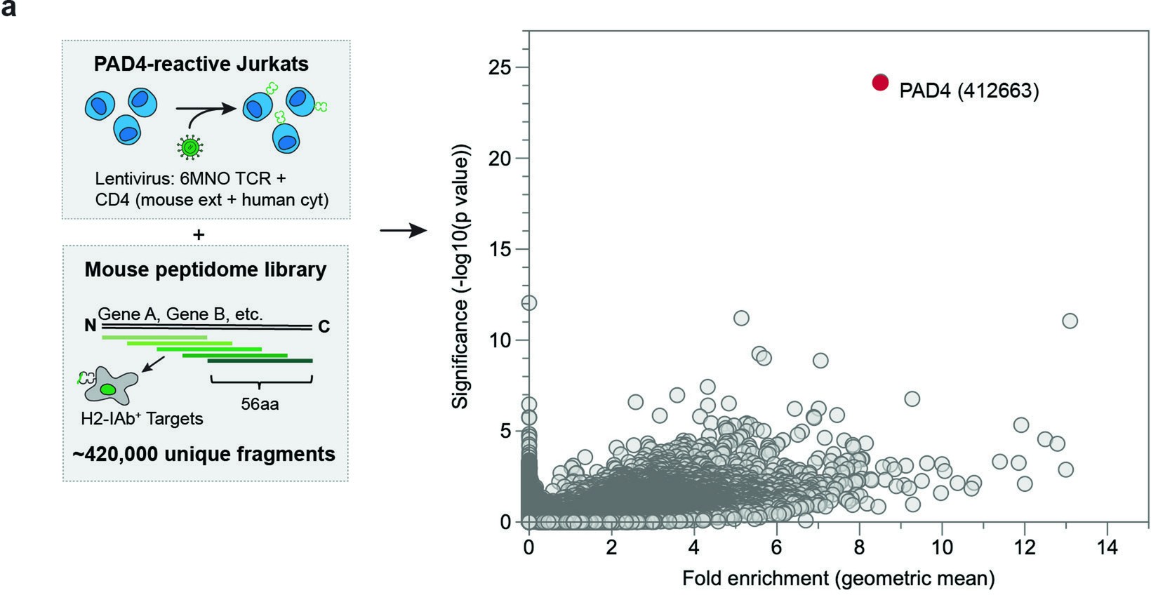 Extended Data Fig. 5