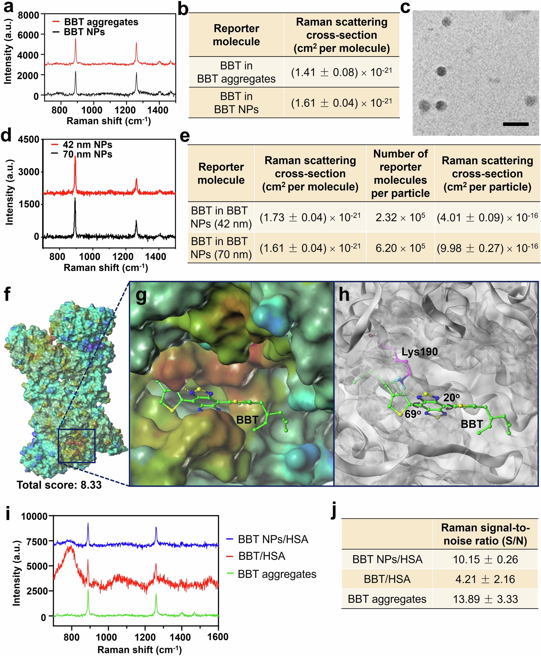 Extended Data Fig. 3: Raman signal intensities of BBT aggregates and BBT NPs.