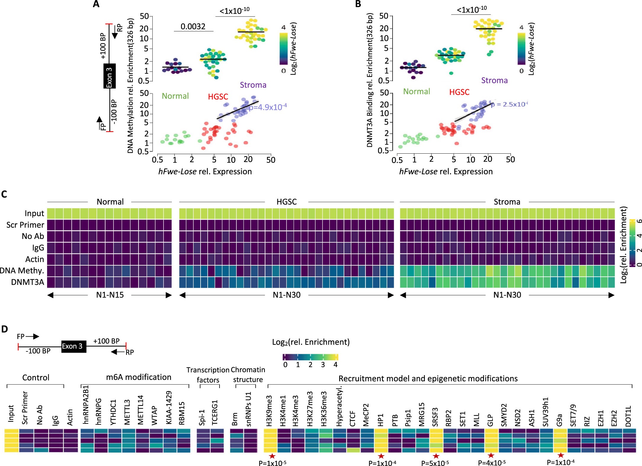 Extended Data Fig. 1: Flower exon 3 demonstrates increased enrichment of alternative splicing factors and epigenetic modifications.