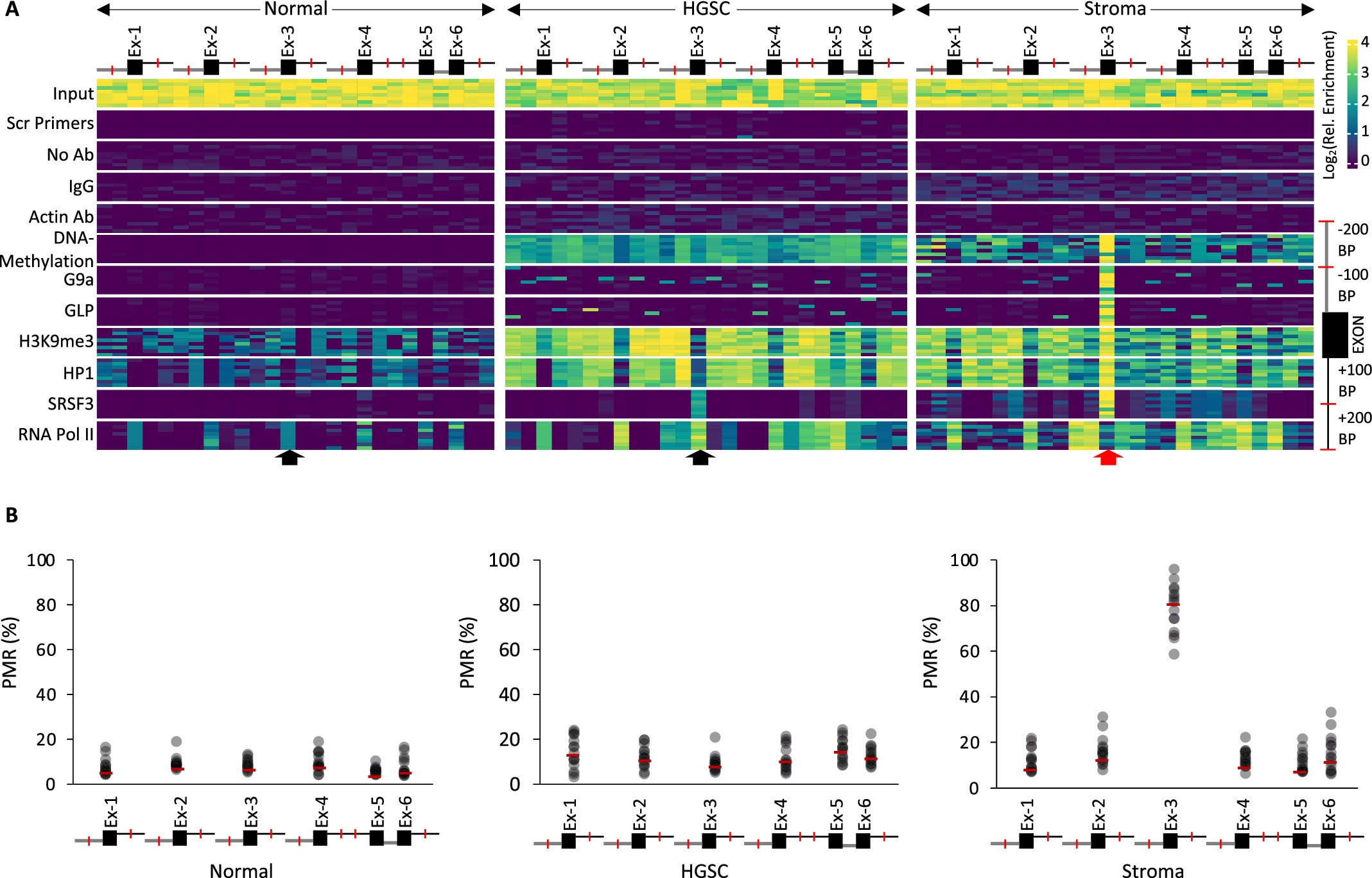 Extended Data Fig. 2: The enrichment of splicing machinery at Flower exon 3 is specific to HGSC stromal tissue.