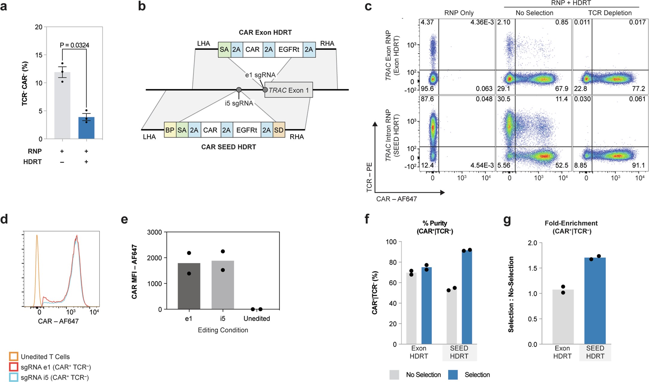 Extended Data Fig. 3: Evaluation of TRAC intron and exon targeted gRNAs.
