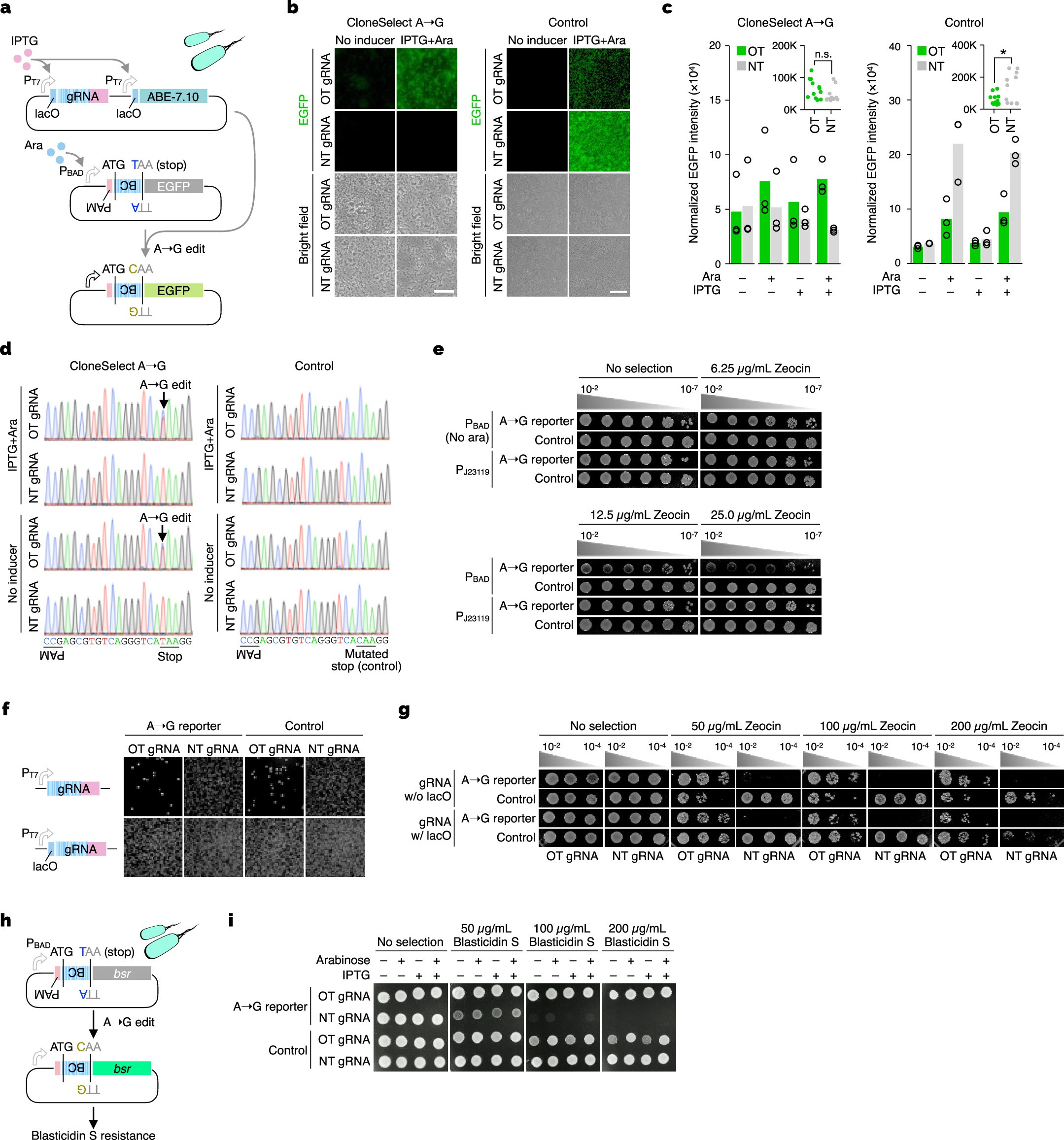 Extended Data Fig. 10: Supplementary data for Bacterial CloneSelect.