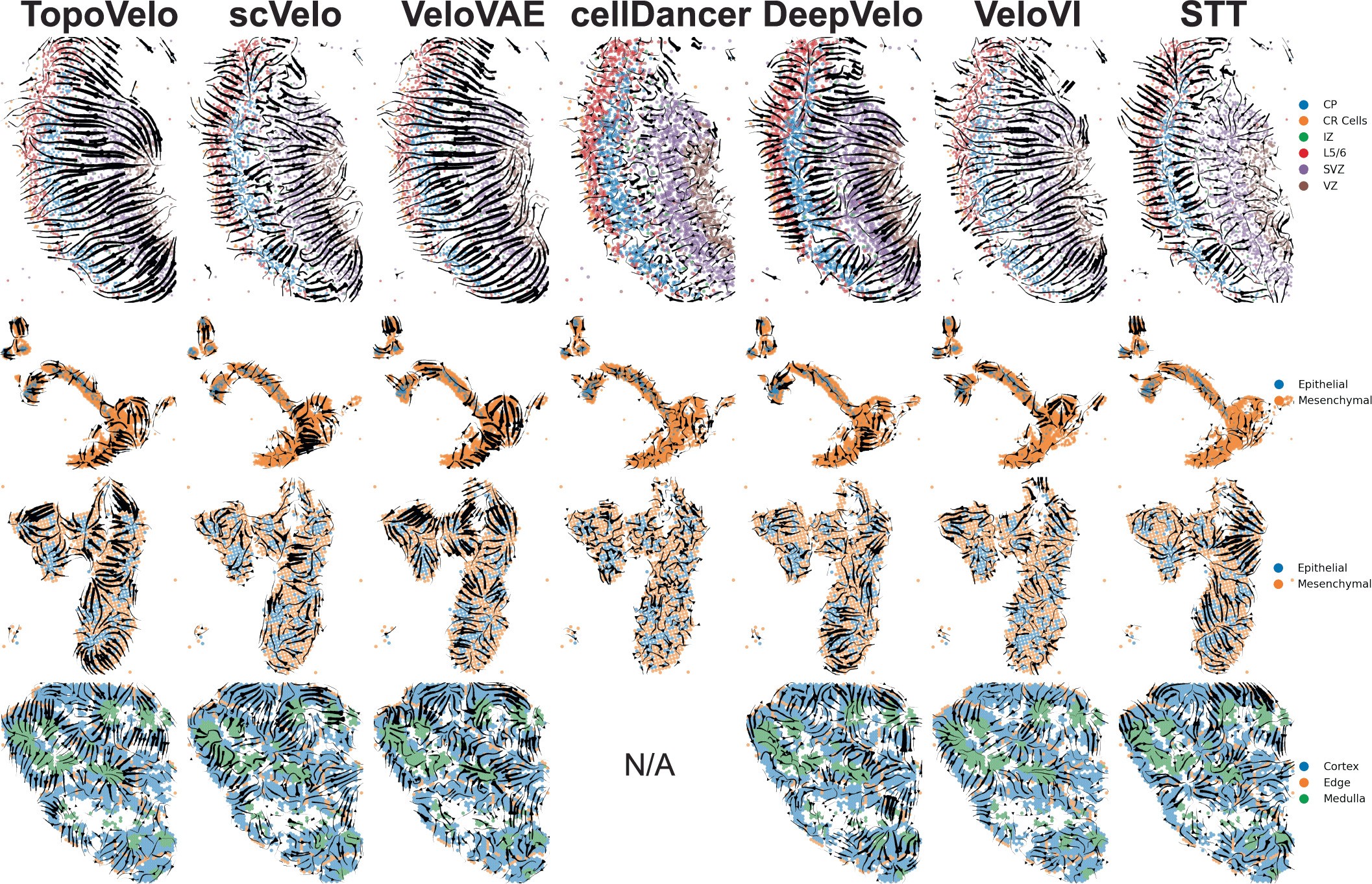 Extended Data Fig. 2: Comparison of cell velocity.