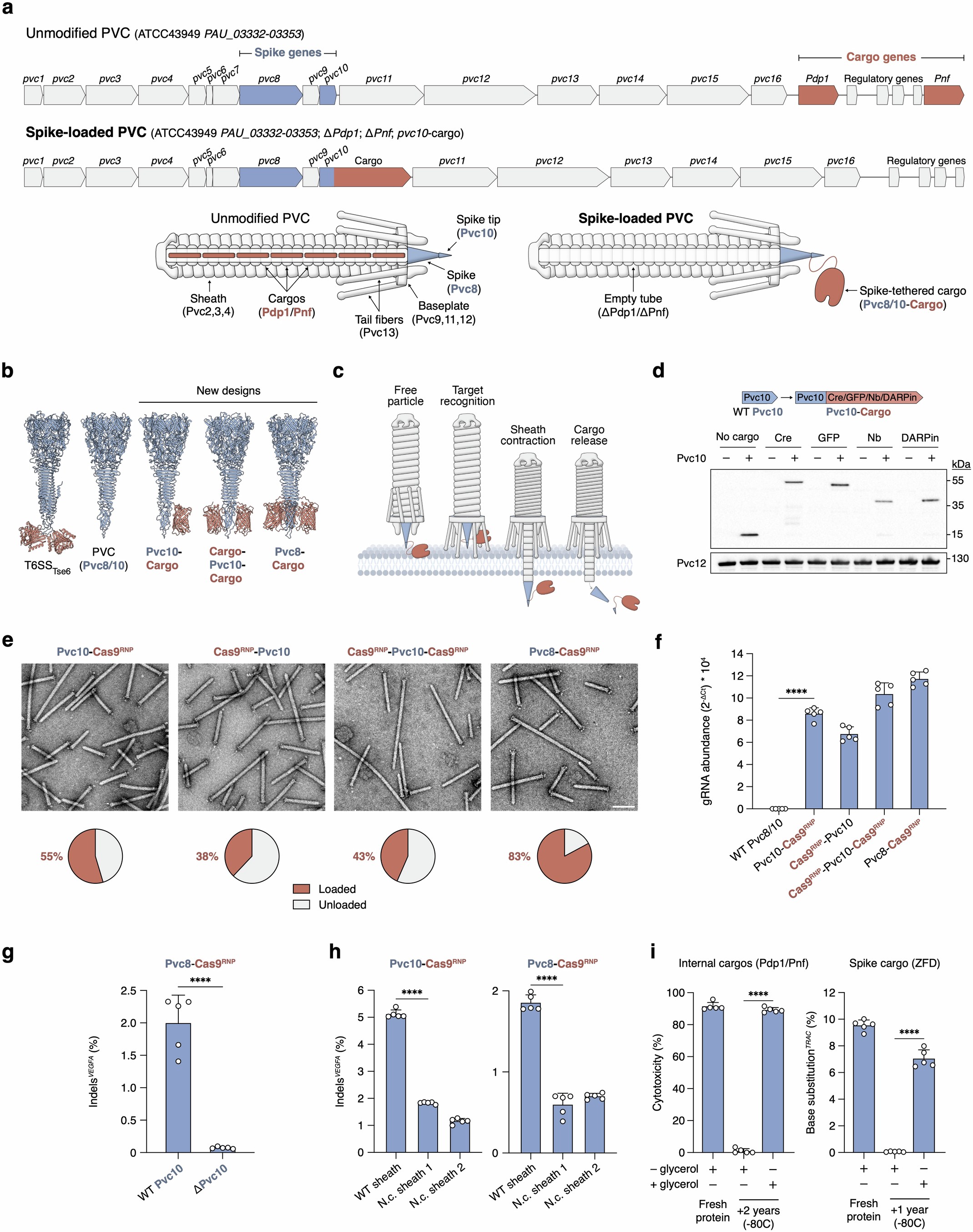 Extended Data Fig. 1