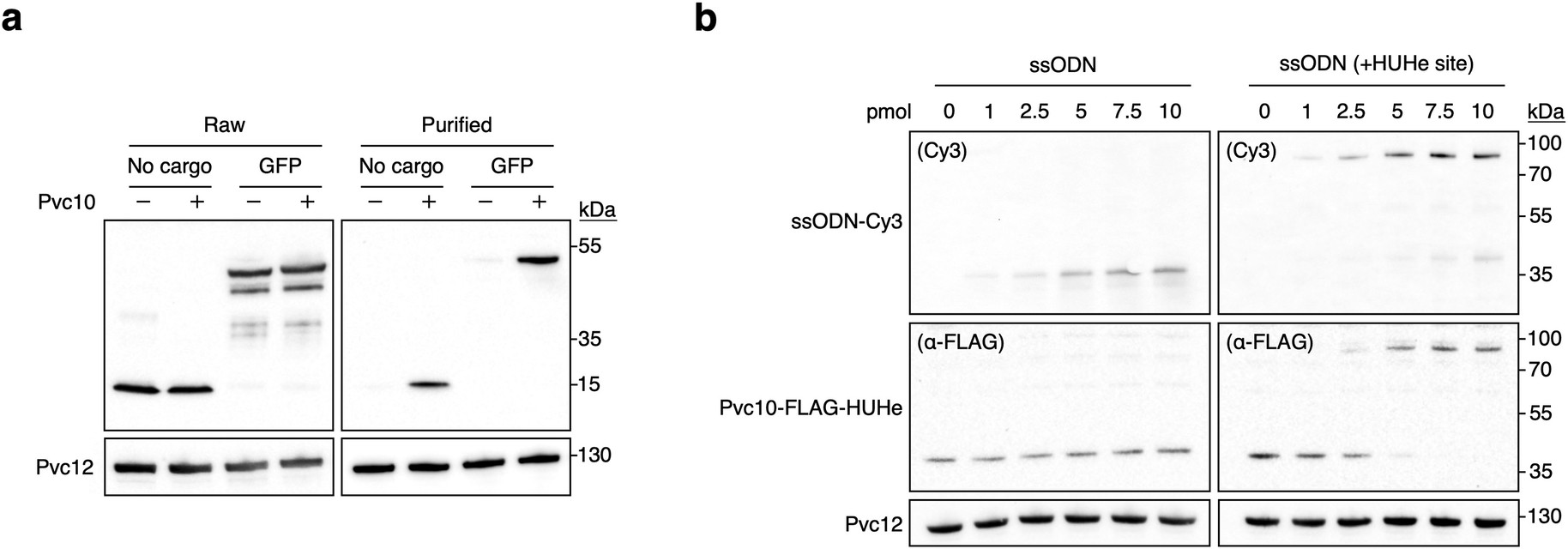 Extended Data Fig. 2