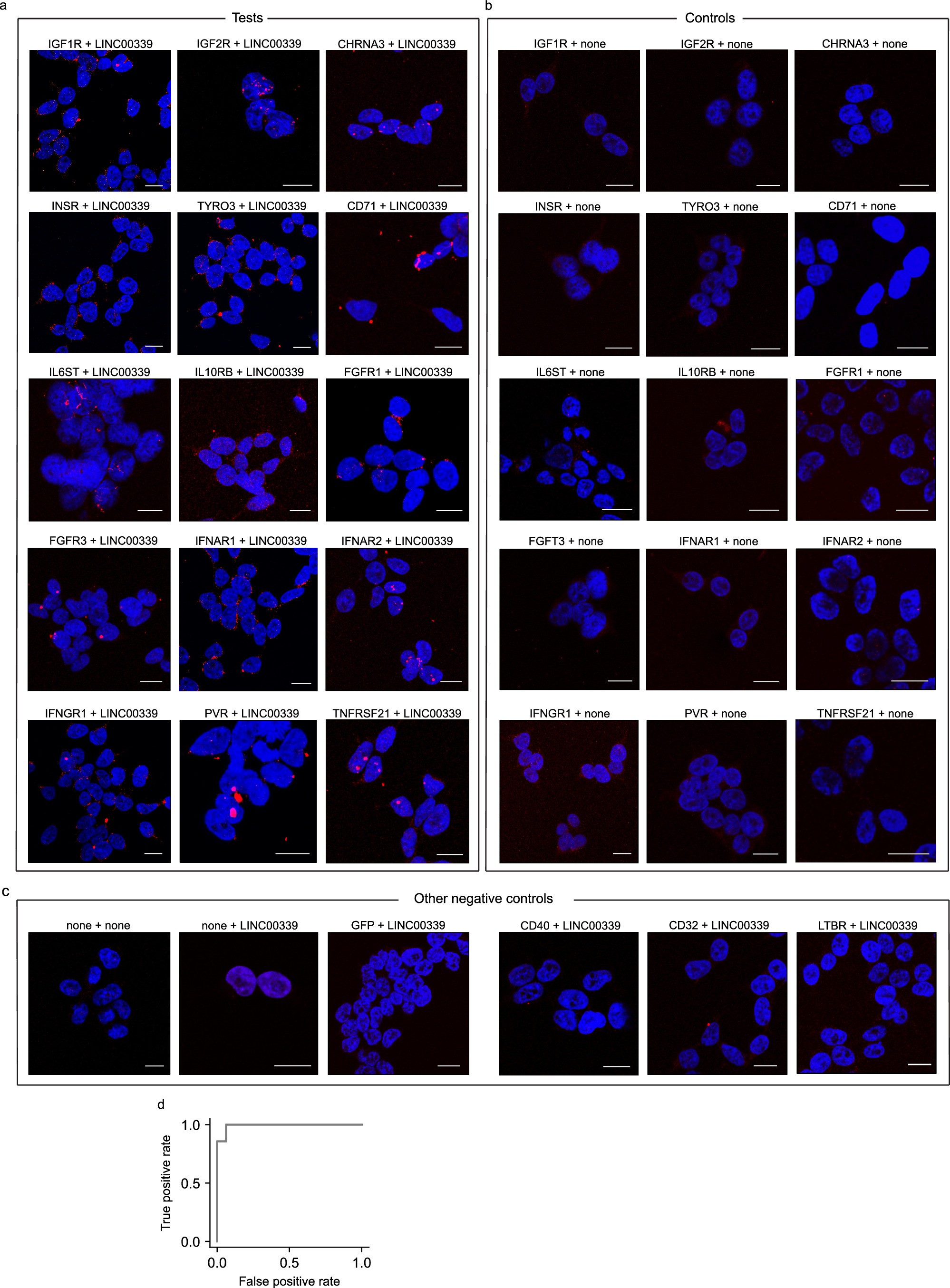 Extended Data Fig. 6