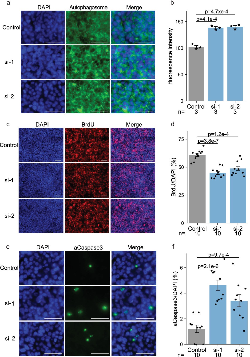 Extended Data Fig. 9