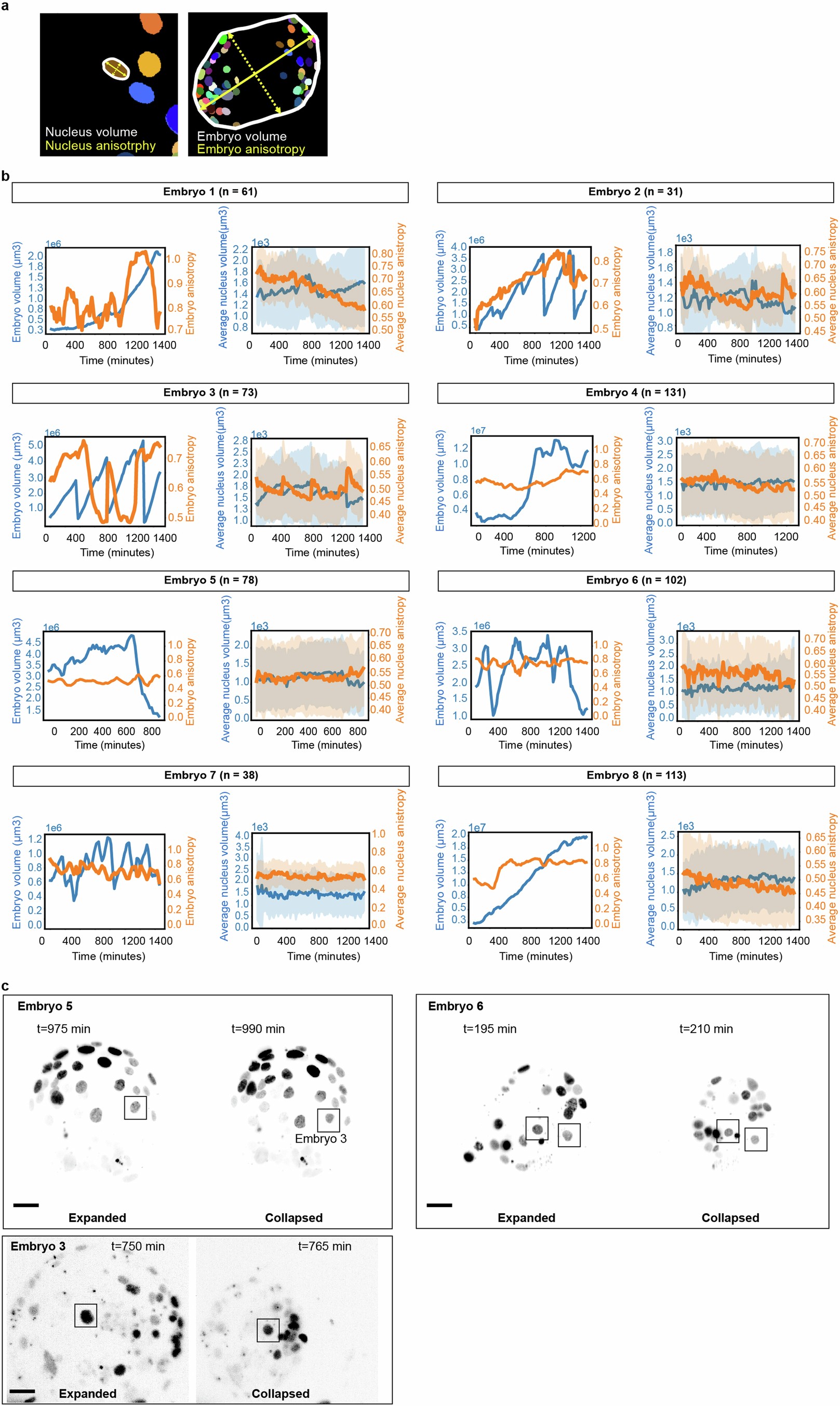 Extended Data Fig. 9: Nuclei shape, and size in human blastocysts.