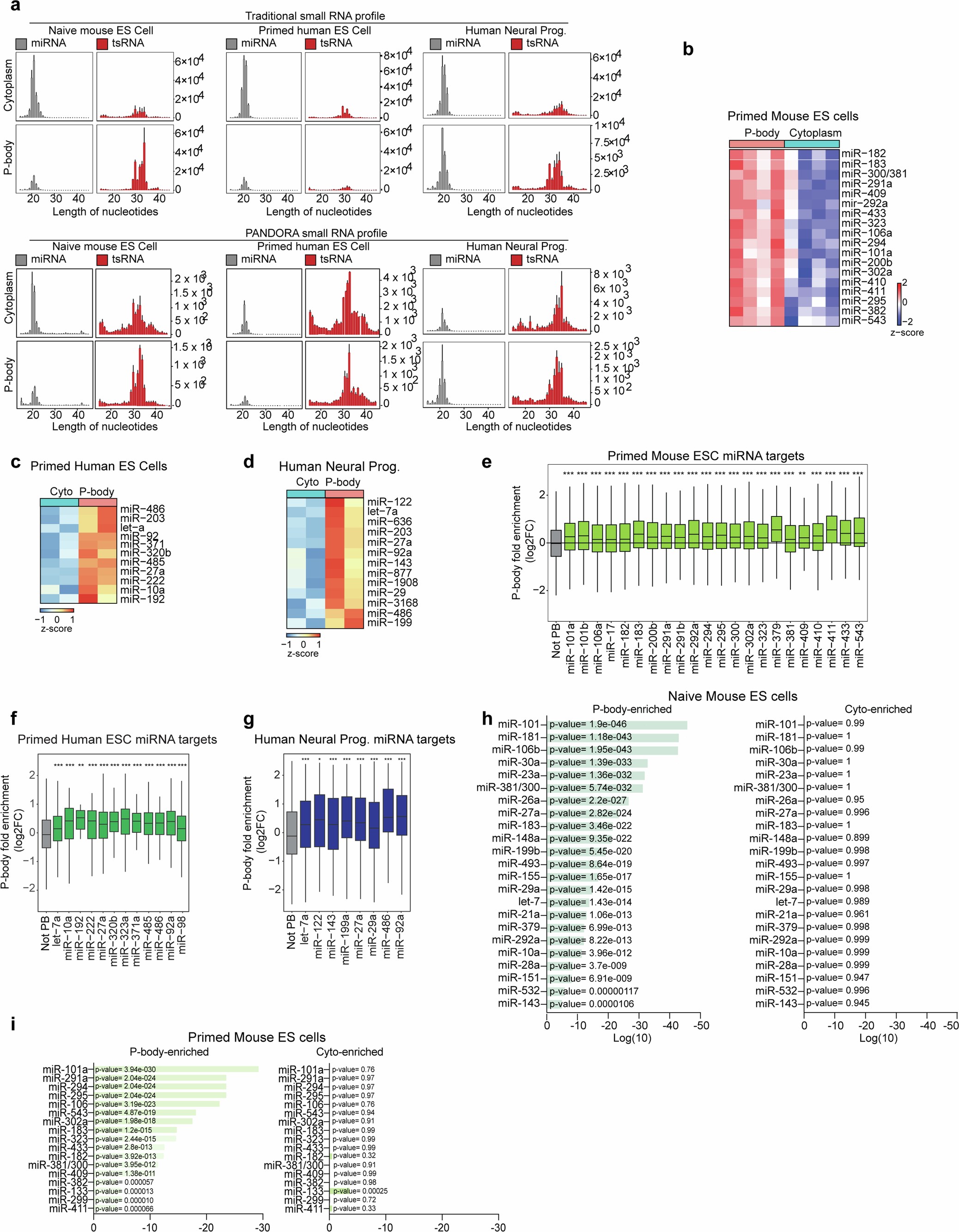 Extended Data Fig. 8: miRNAs direct selective sequestration of transcripts into P-bodies.