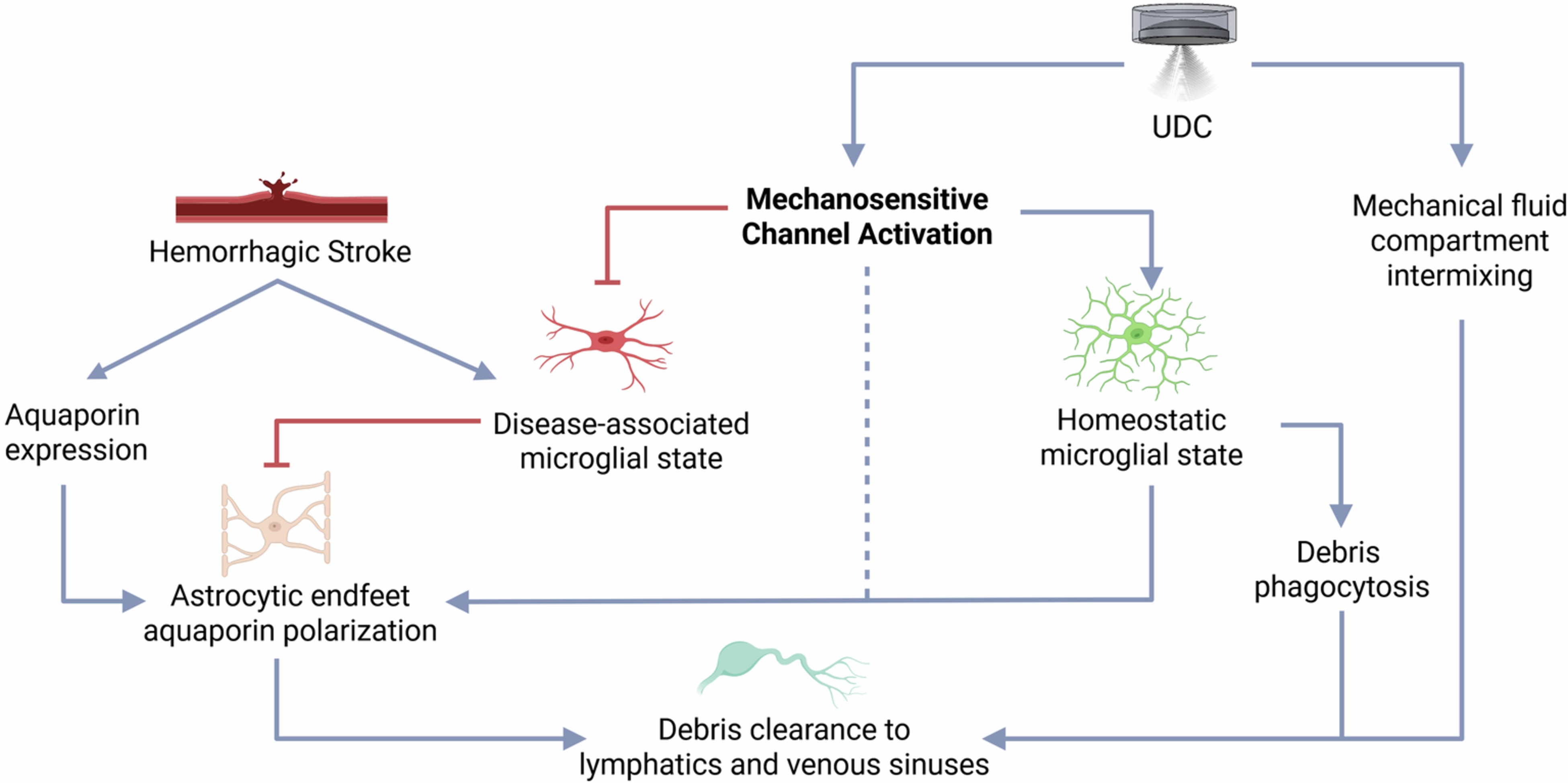 Extended Data Fig. 4