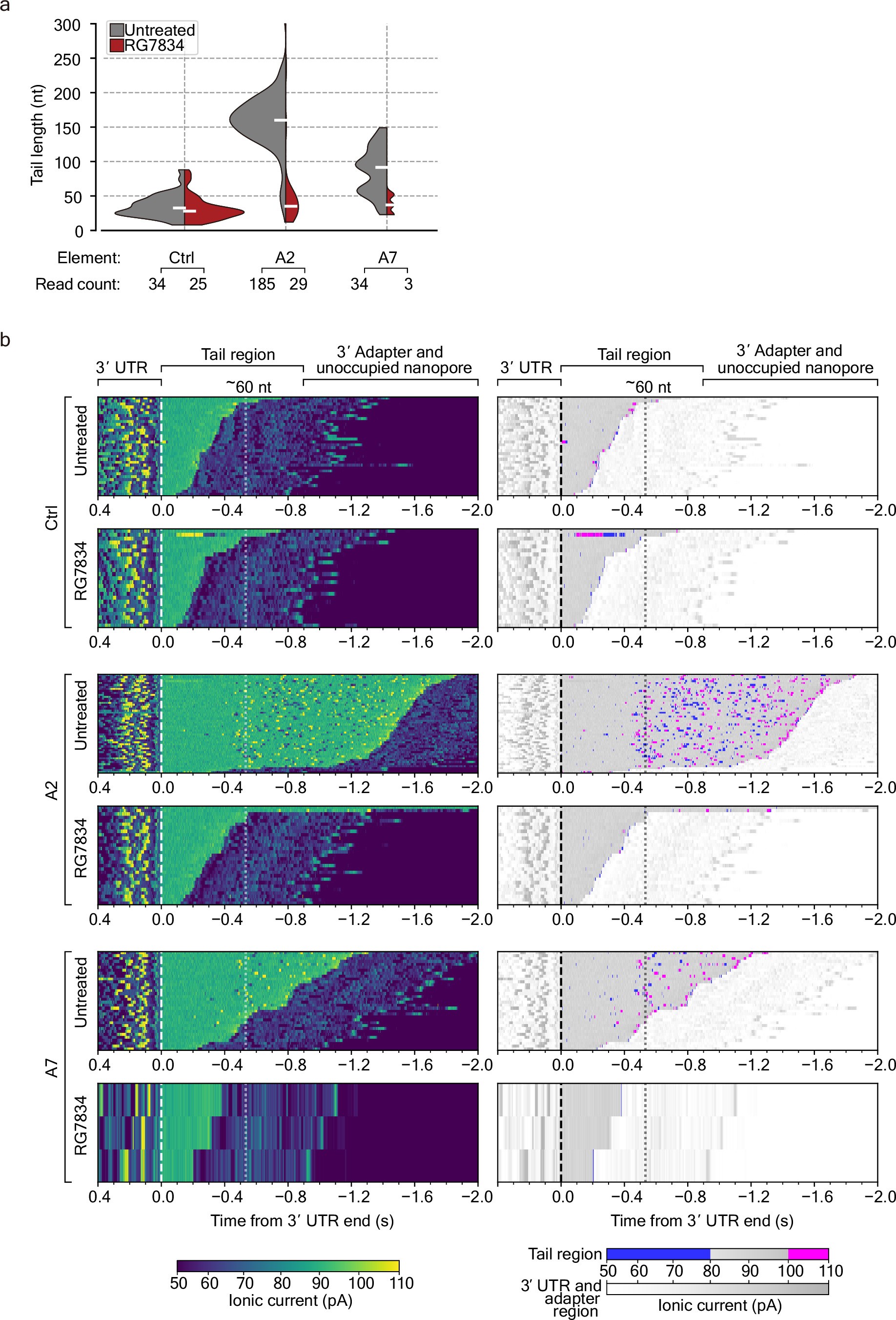 Extended Data Fig. 4: Viral RNA stability enhancers act through TENT4-dependent mixed tailing.