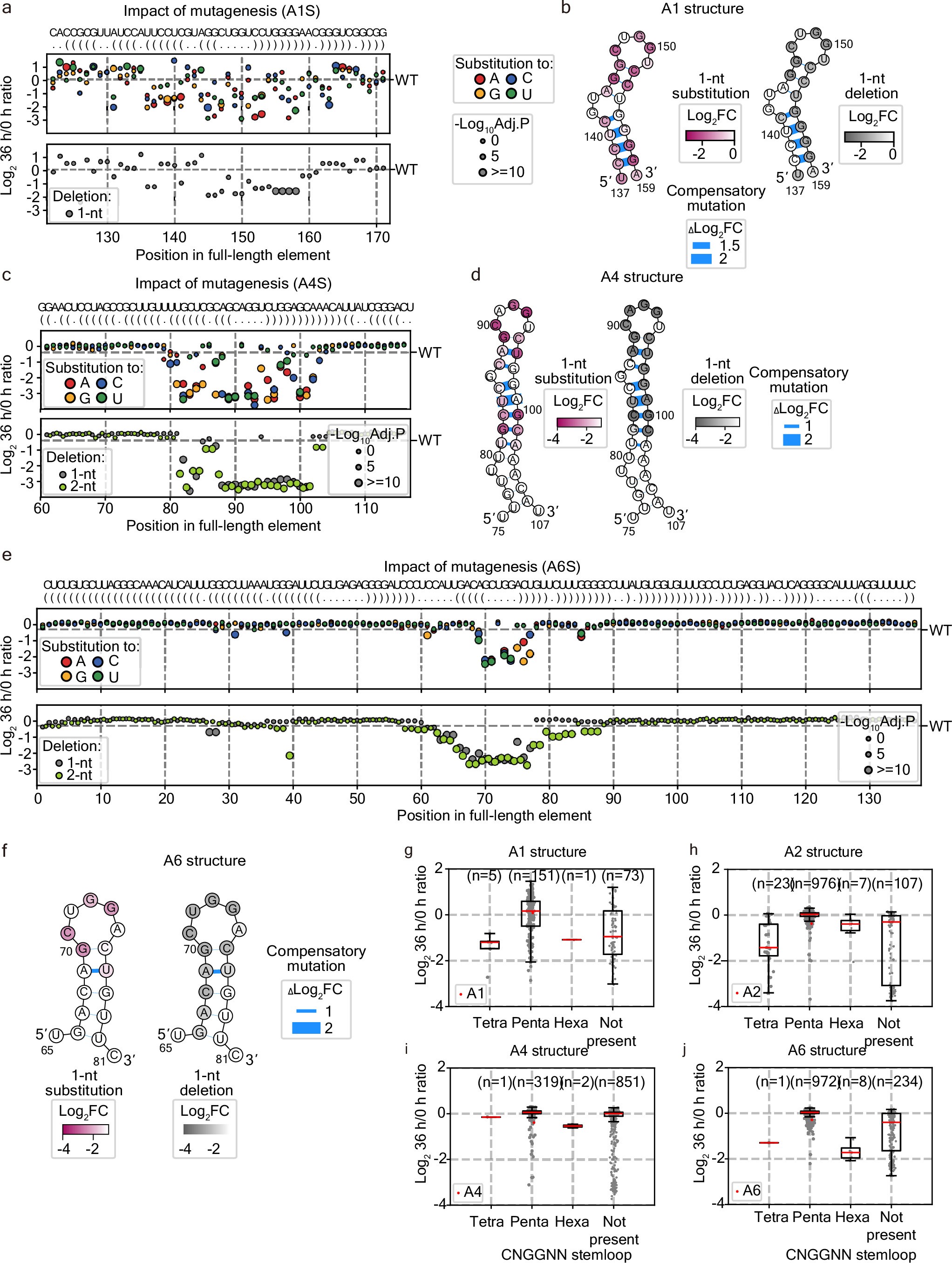 Extended Data Fig. 2: Deep mutagenesis analyses reveal key structural and sequence features.