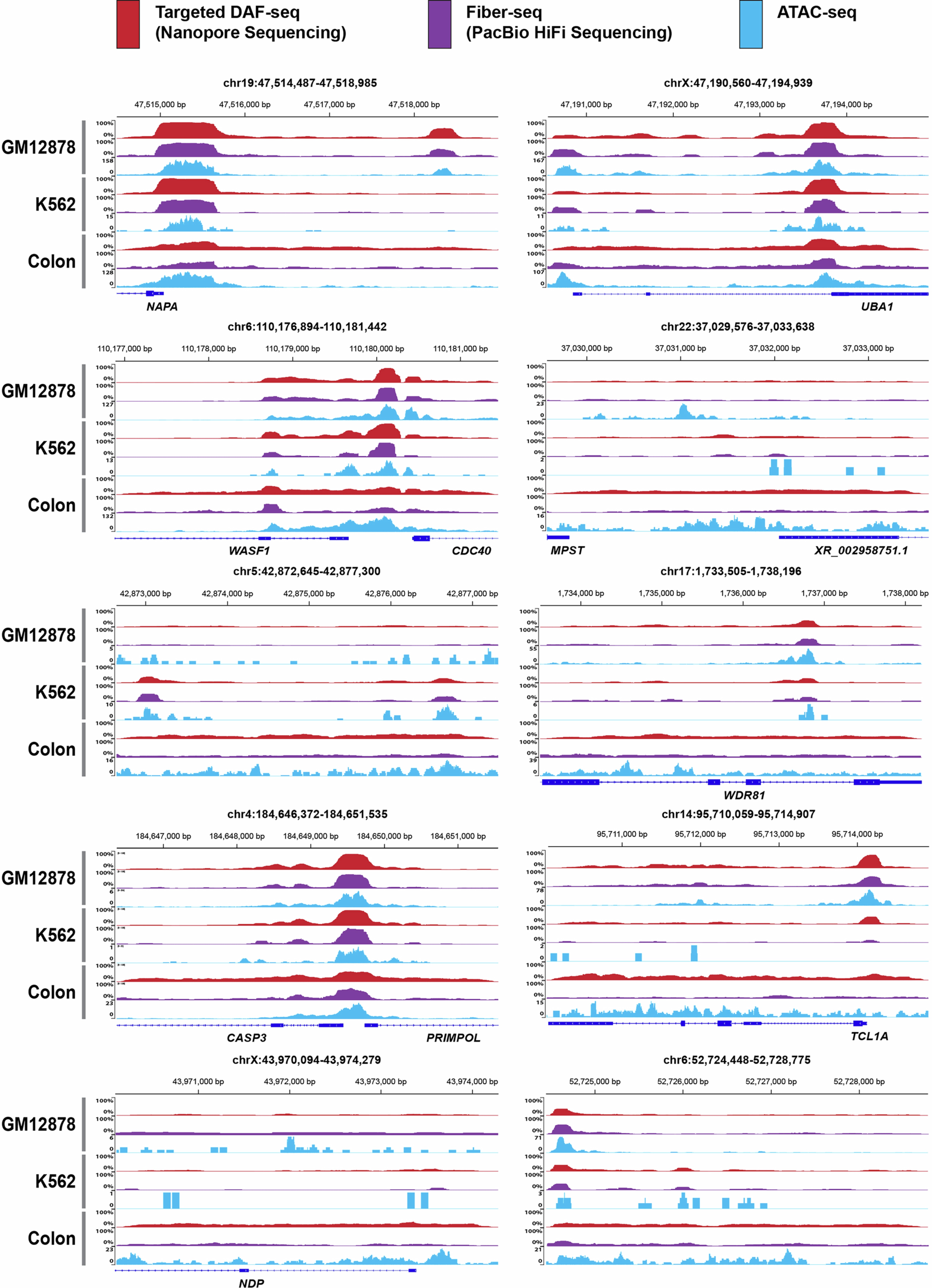 Extended Data Fig. 4: Targeted DAF-seq multi-region benchmarking.