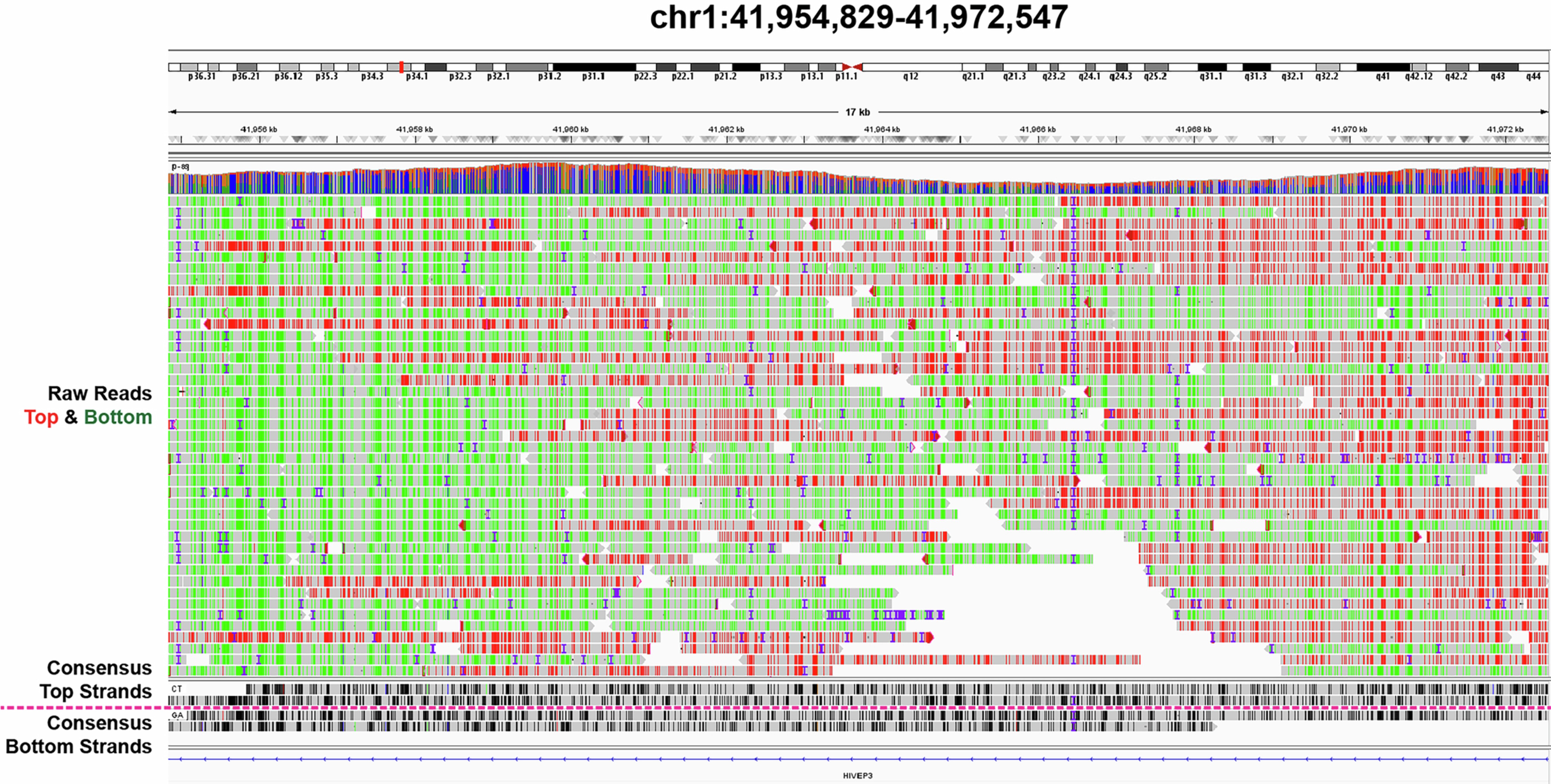 Extended Data Fig. 7: Generation of single-cell consensus reads.
