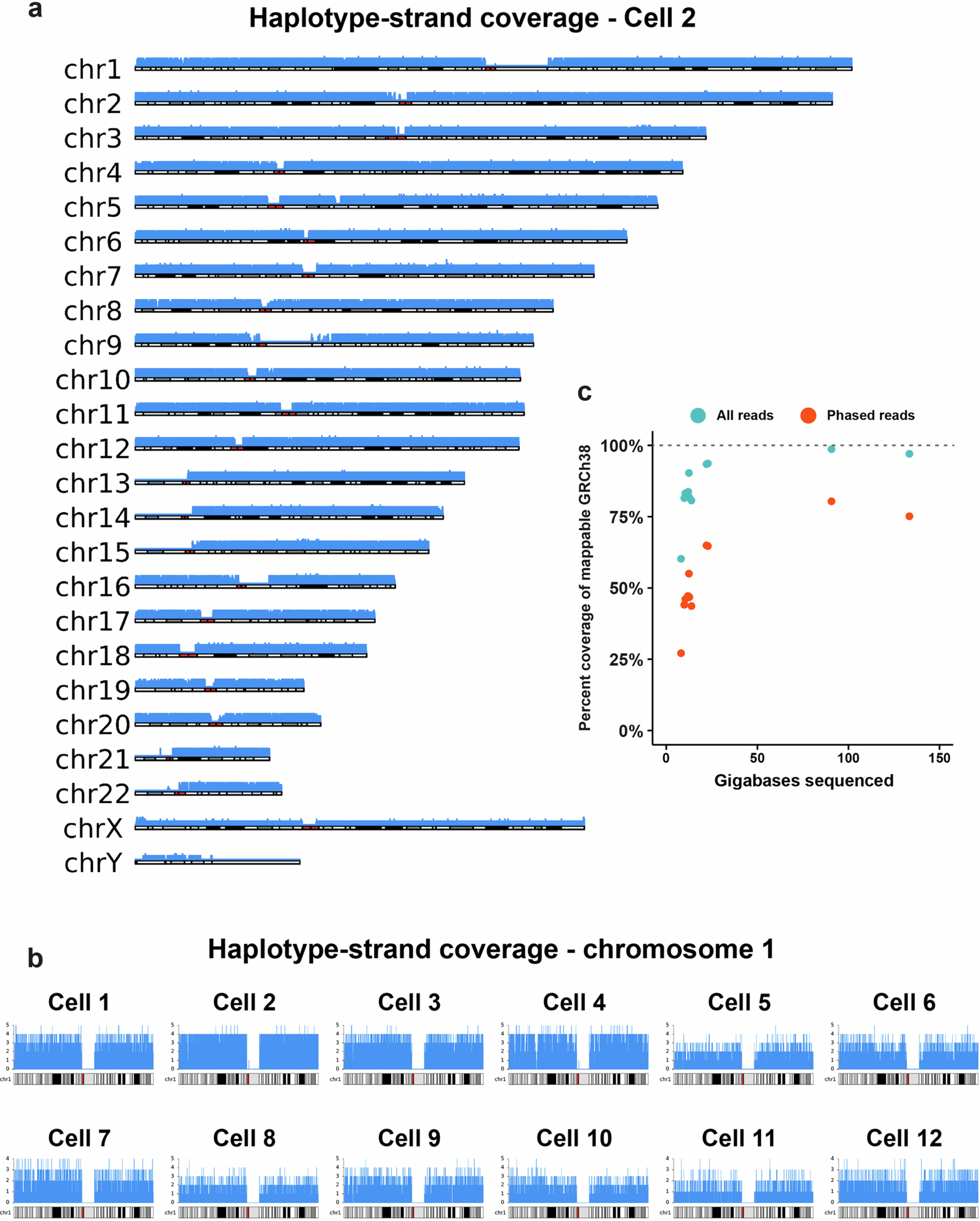 Extended Data Fig. 8: scDAF-seq Karyoplots.