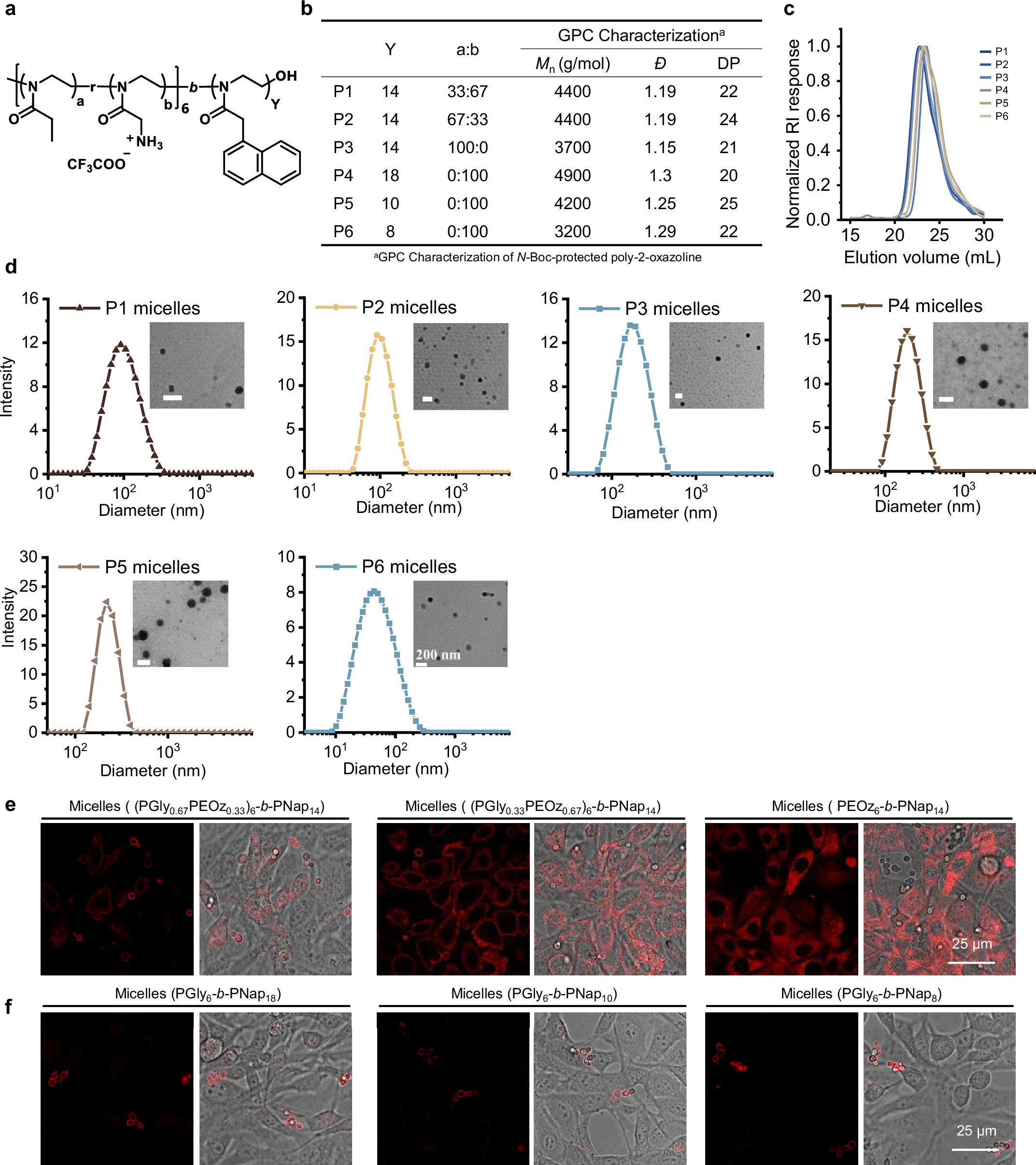 Extended Data Fig. 5: The characterization and pathogen targeting studies of a series of polymeric micelles.
