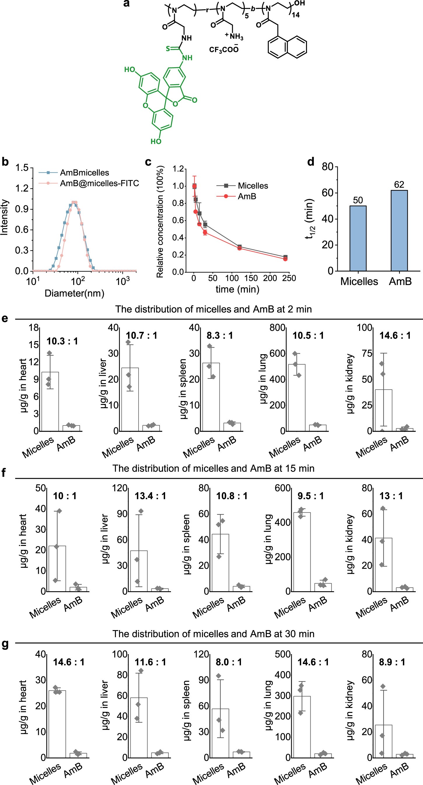 Extended Data Fig. 7: Pharmacokinetics and in vivo distribution of micelles and AmB in AmBmicelles.