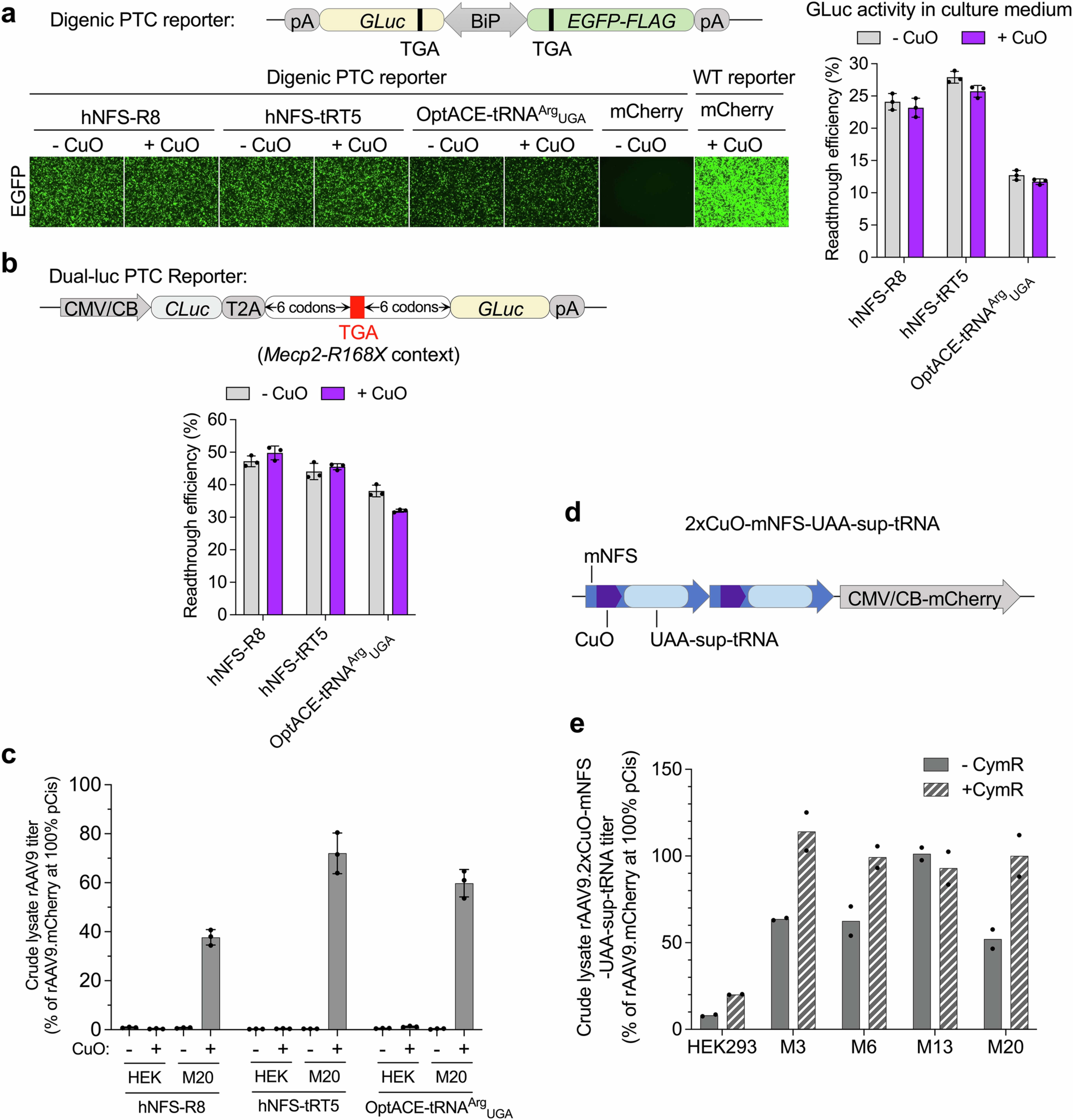 Extended Data Fig. 5