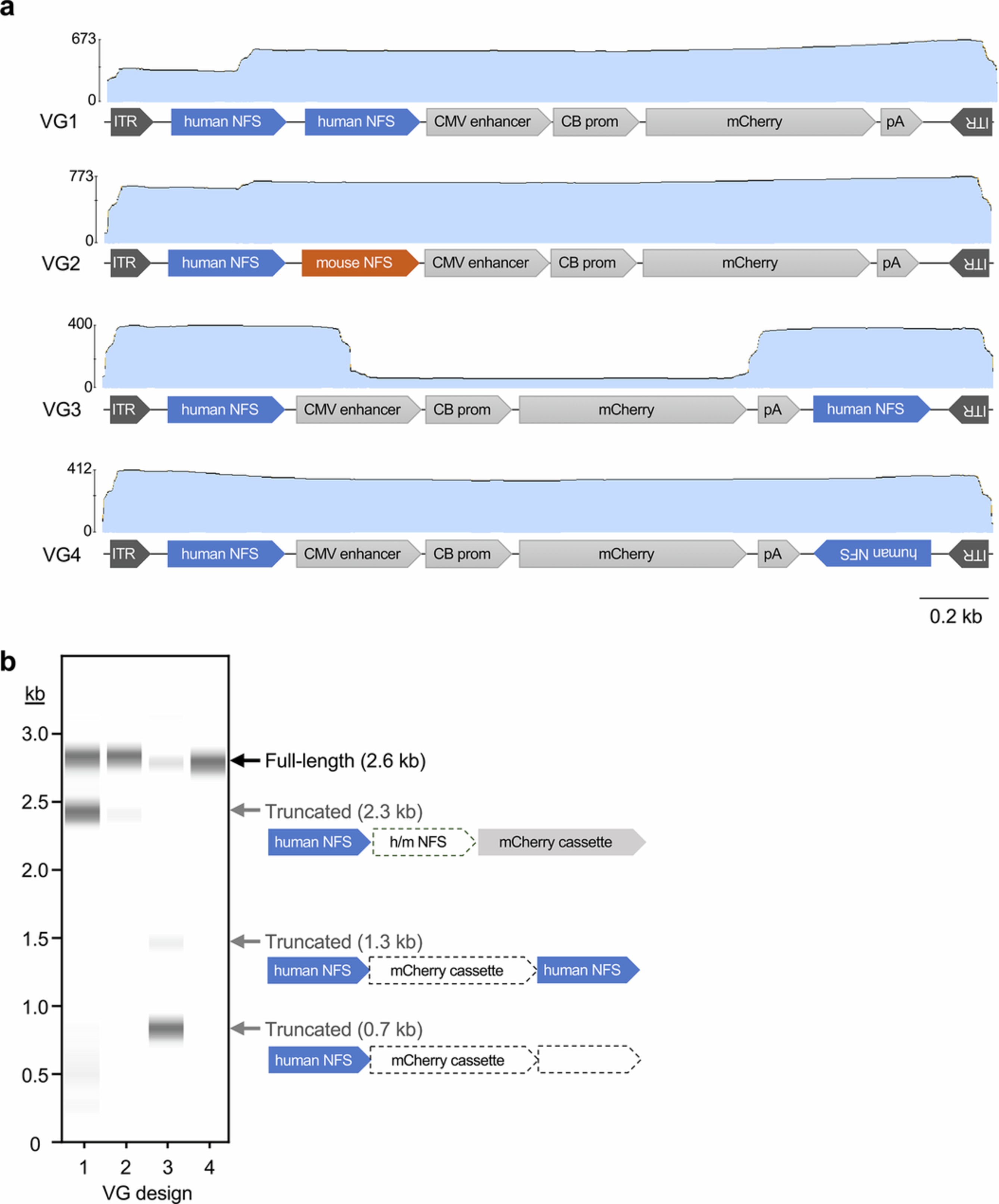 Extended Data Fig. 6