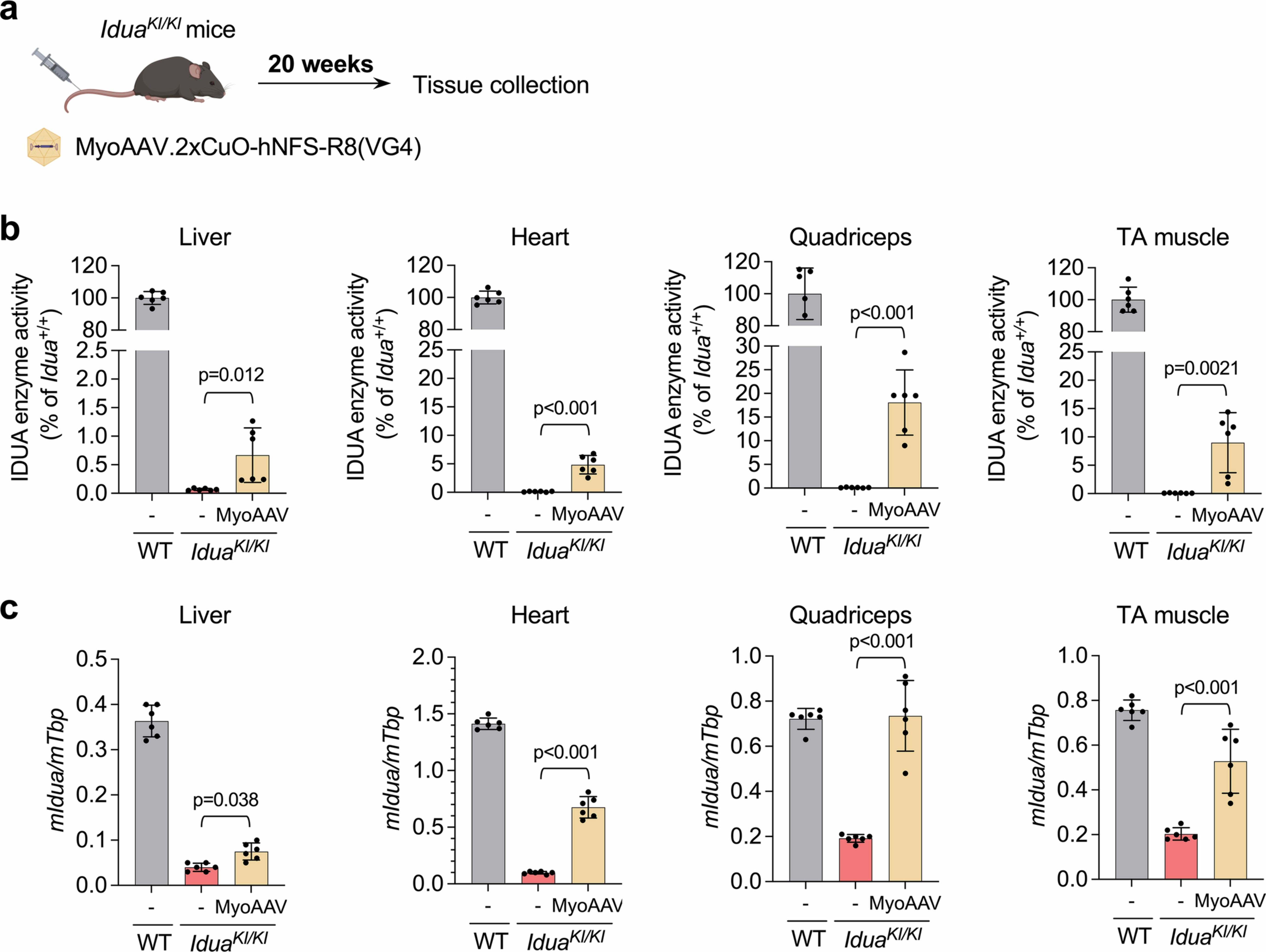 Extended Data Fig. 8