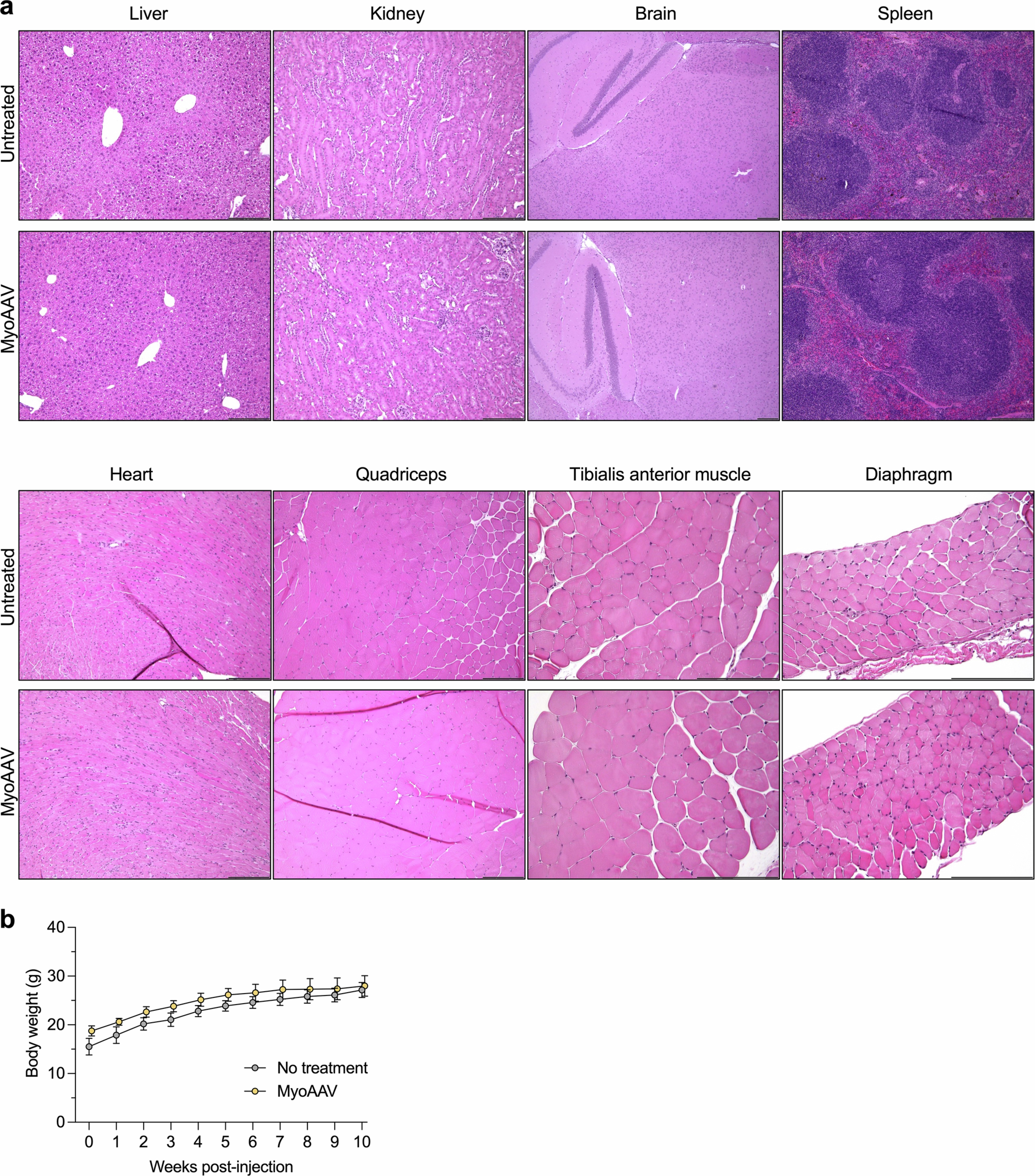 Extended Data Fig. 9
