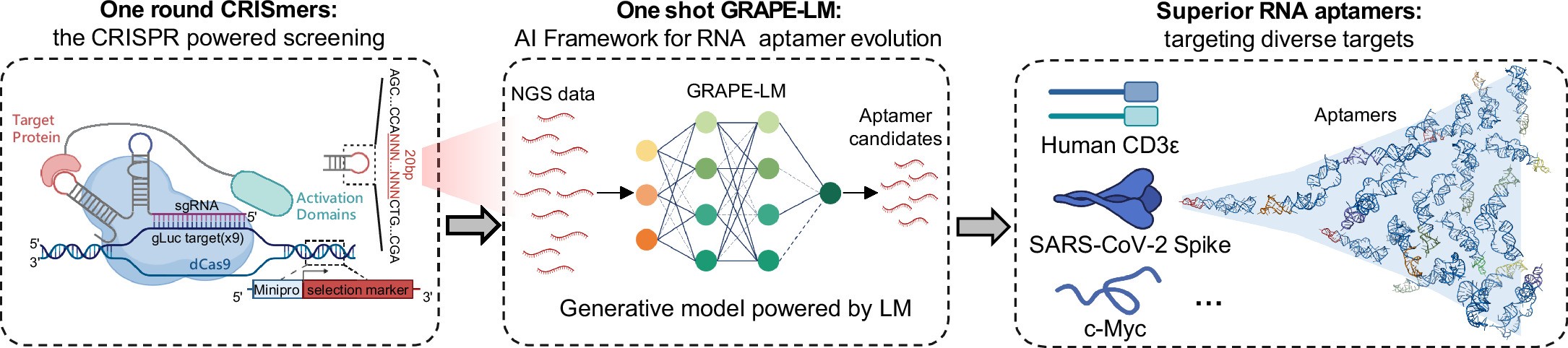 Extended Data Fig. 8