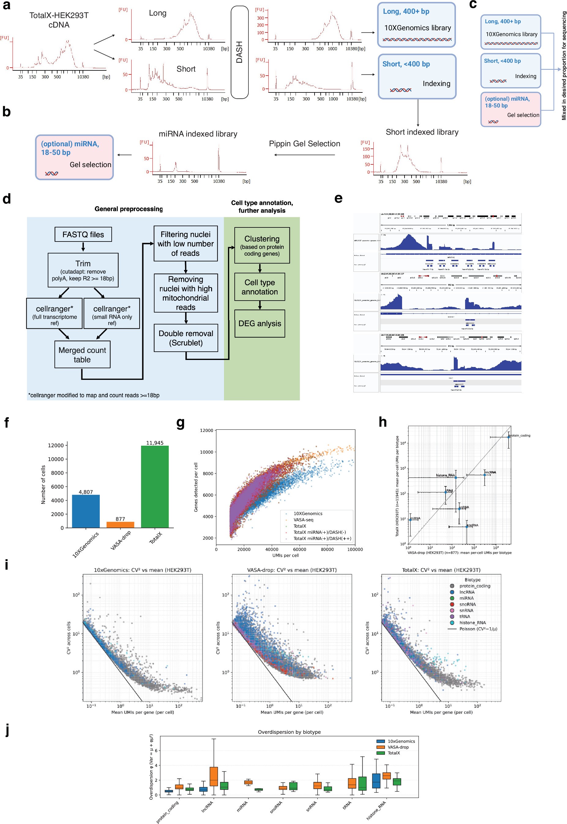 Extended Data Fig. 1: TotalX experimental workflow and analysis pipeline.