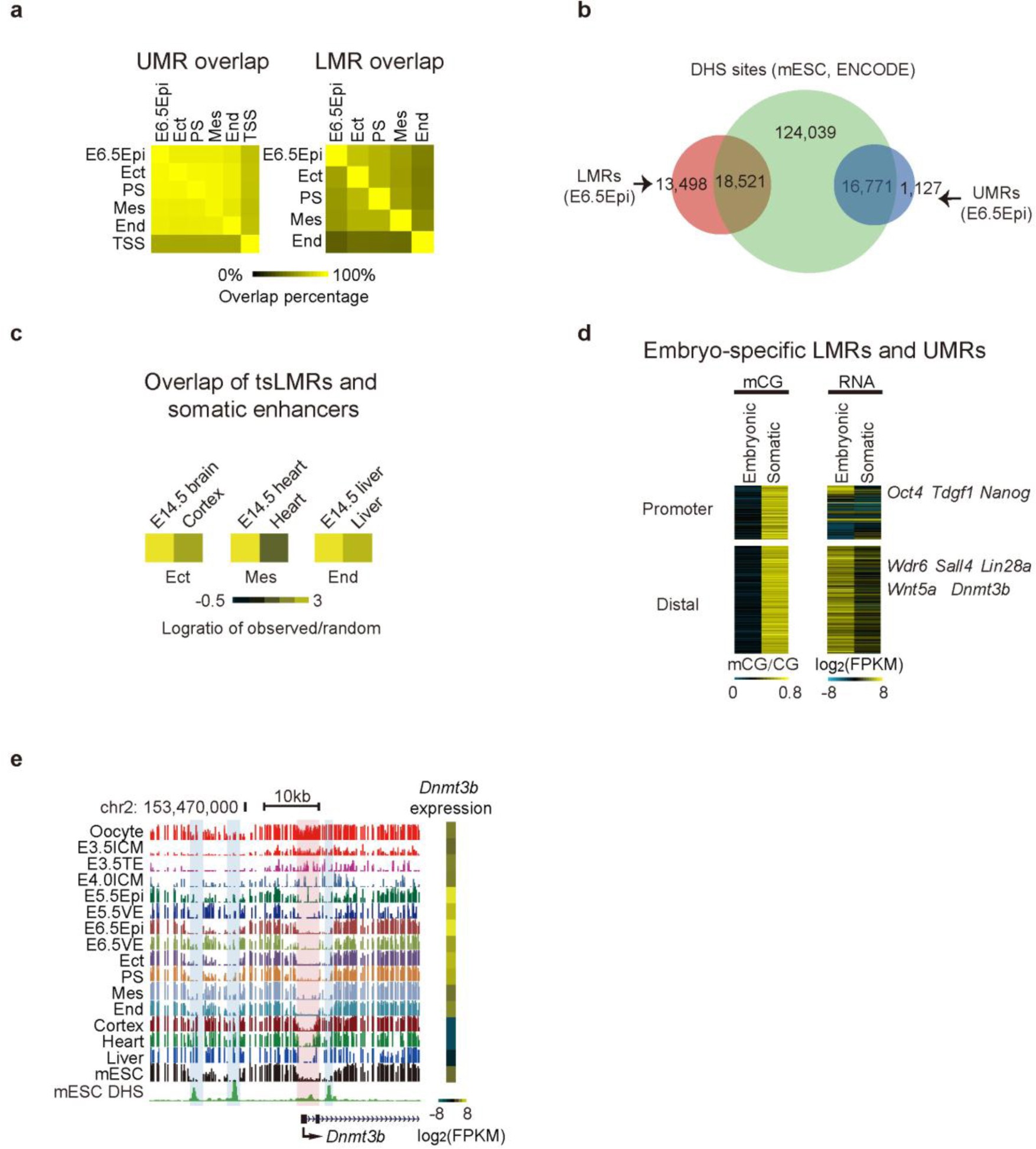 Supplementary Figure 8