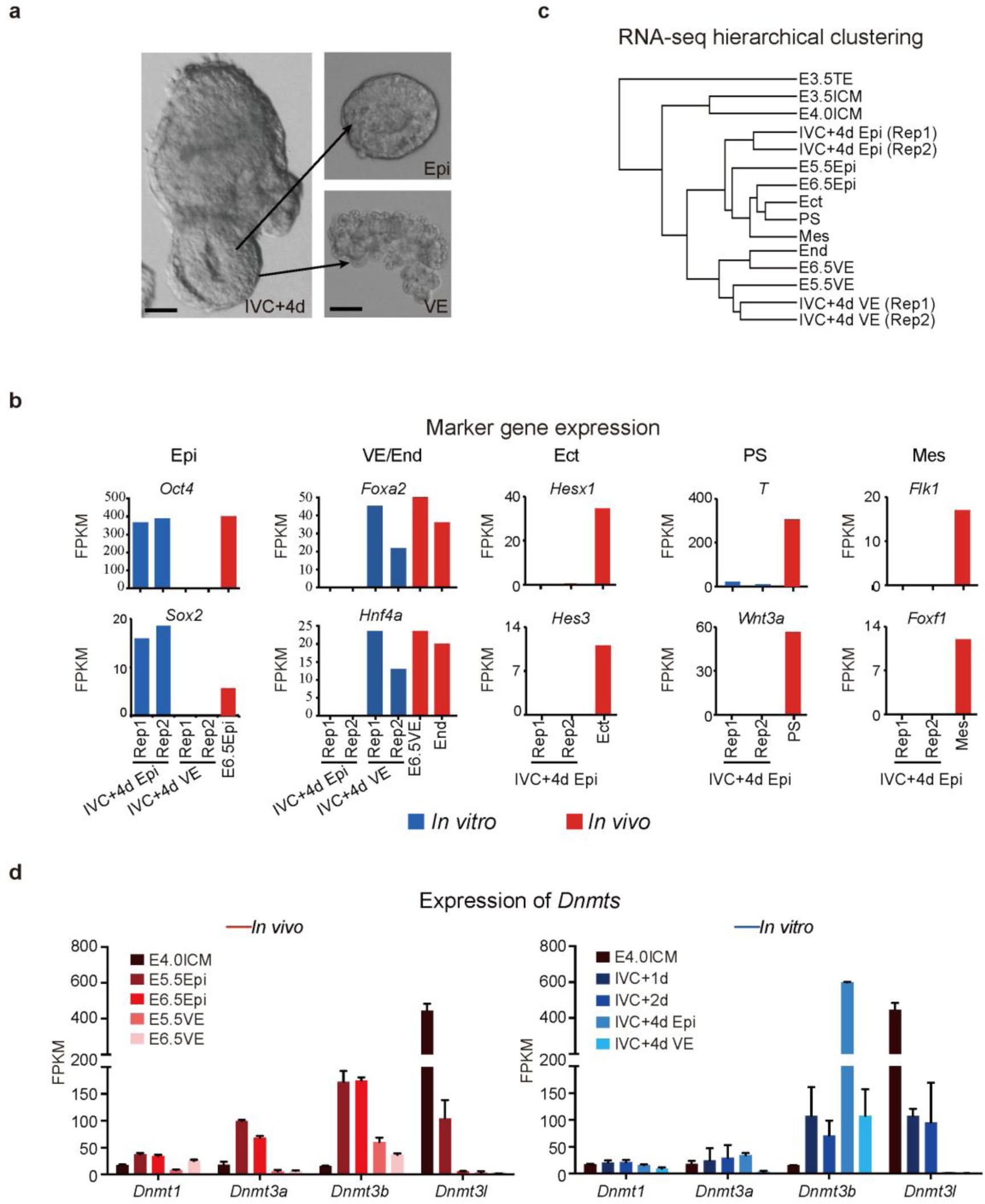 Supplementary Figure 9