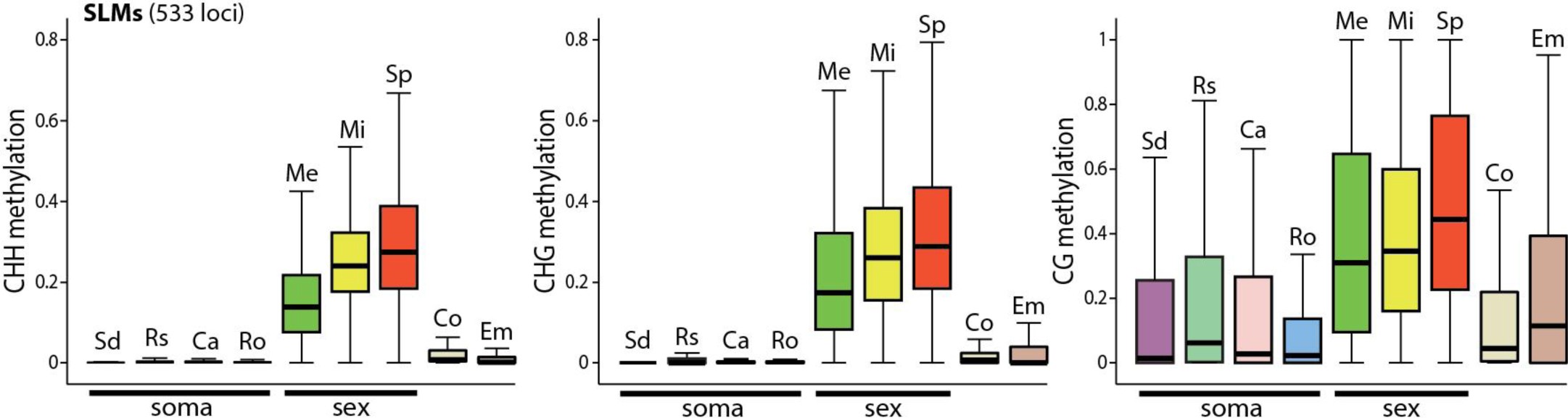 Supplementary Figure 3