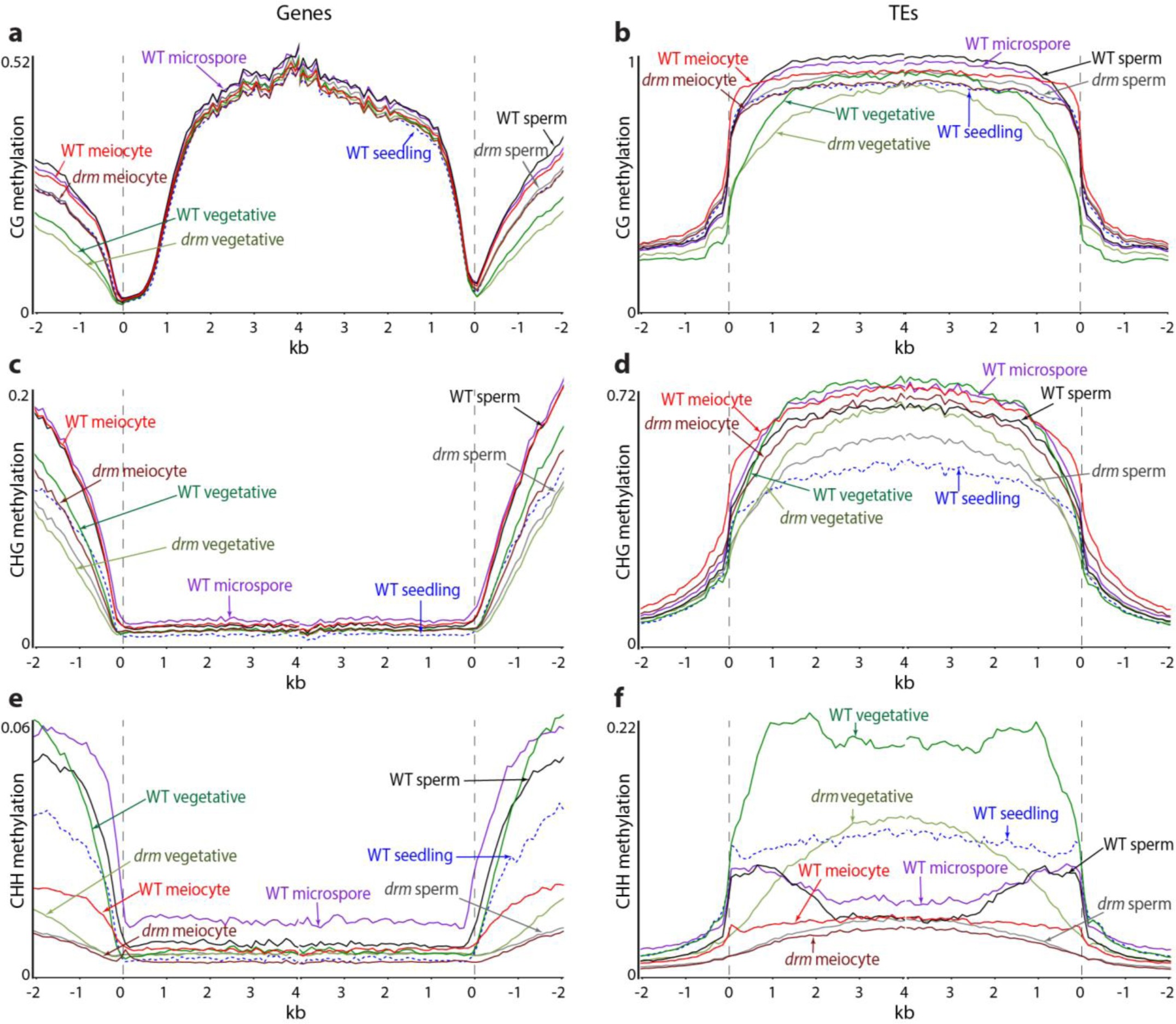 Supplementary Figure 1
