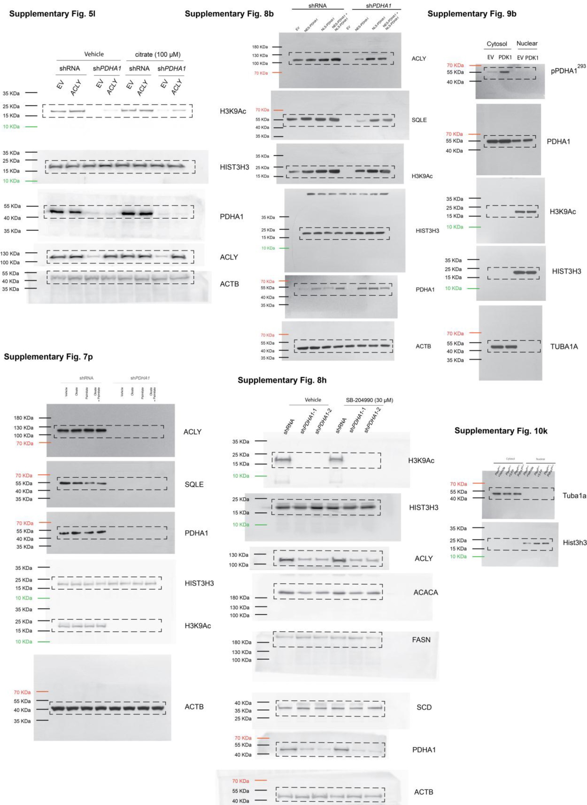 Supplementary Figure 15