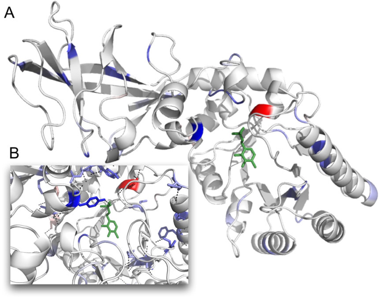 Supplementary Figure 3