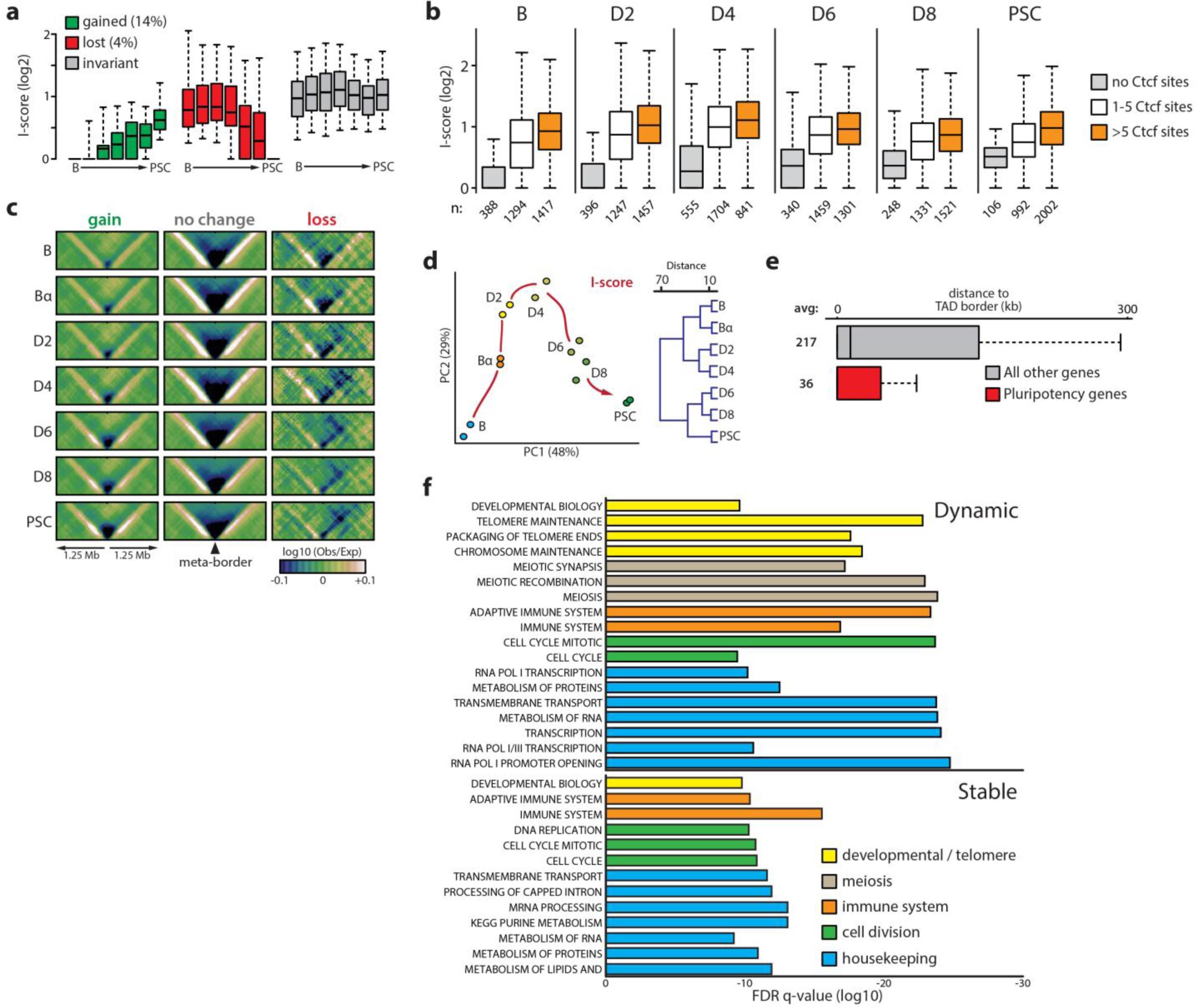 Supplementary Figure 6: Cell-type-specific genes reside near dynamic TAD borders.