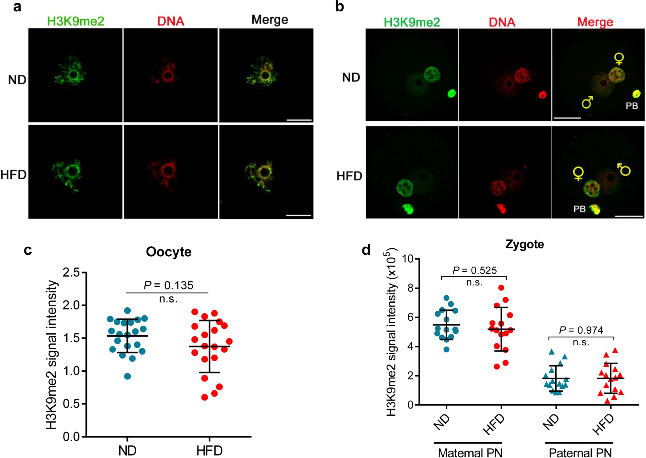 Supplementary Figure 7