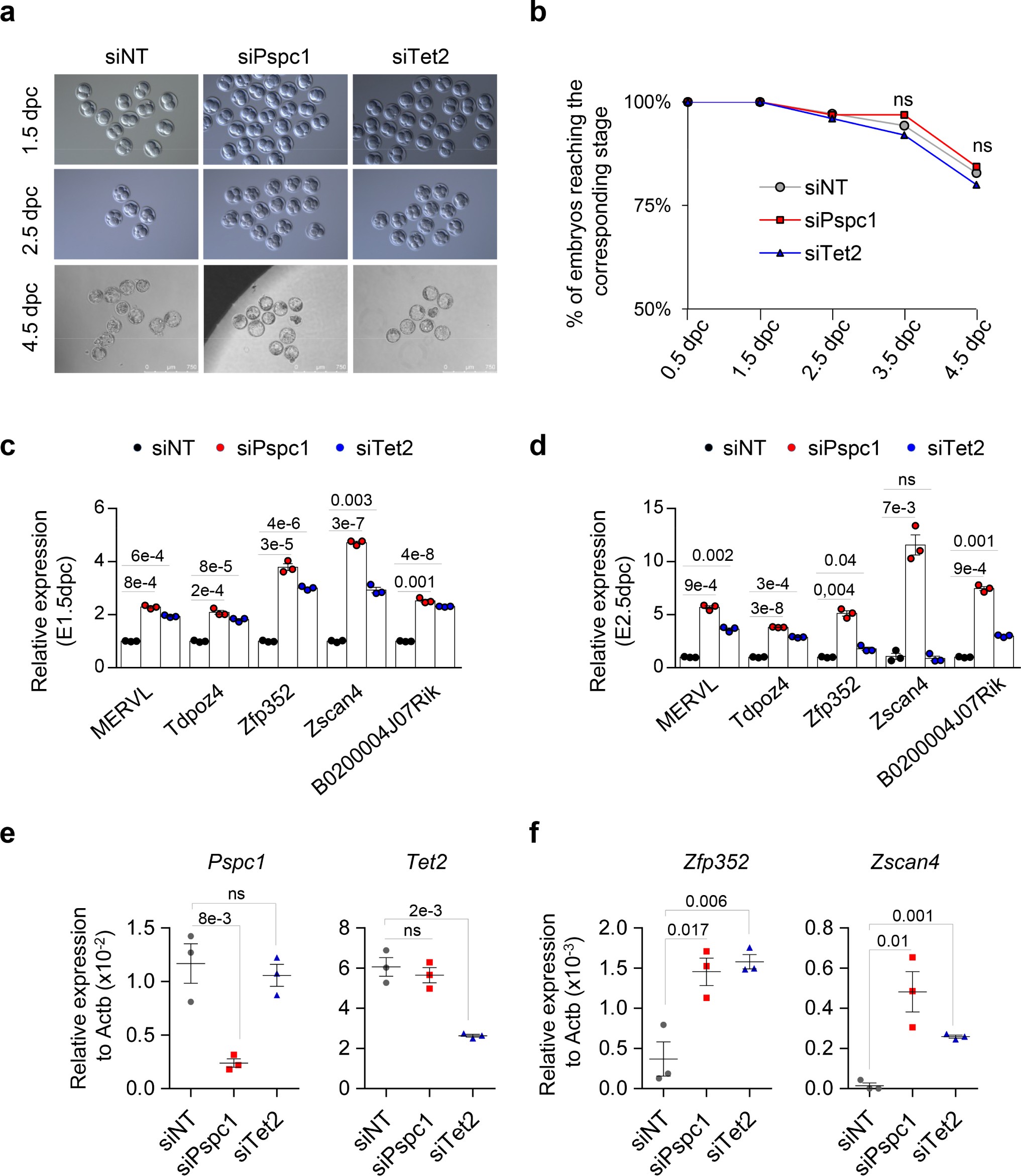 Supplementary Figure 11: Depletion of PSPC1 or TET2 in early embryos results in deregulation of MERVL and MERVL-associated transcripts.