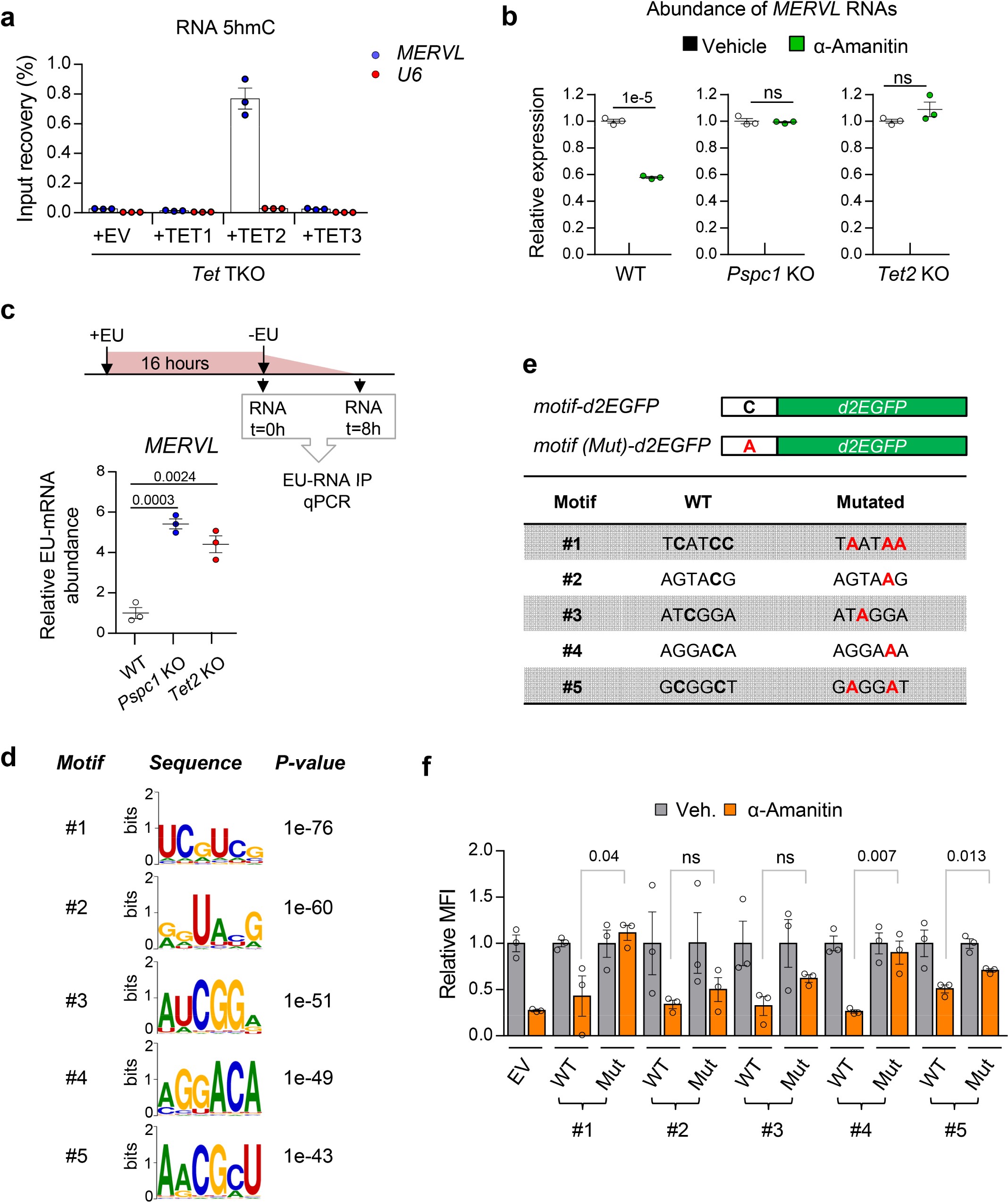 Supplementary Figure 14: PSPC1 and TET2 destabilize MERVL RNAs.