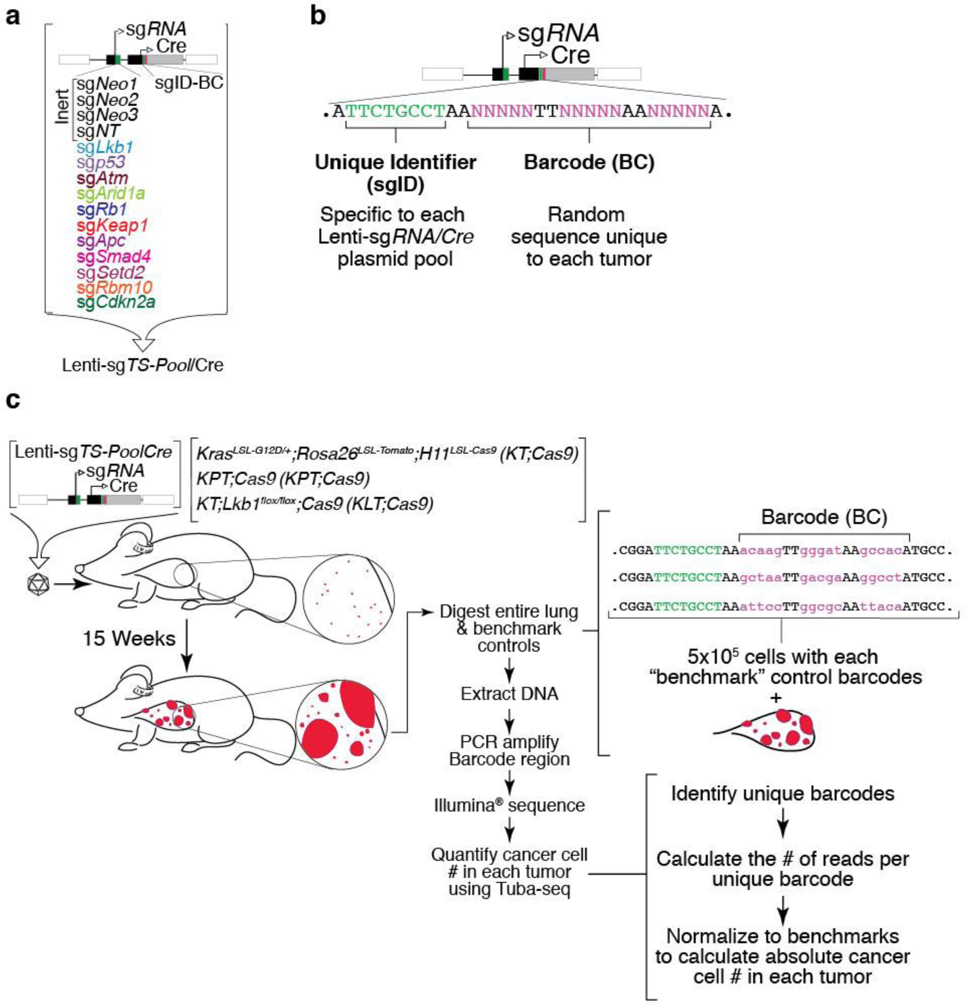 Supplementary Figure 2