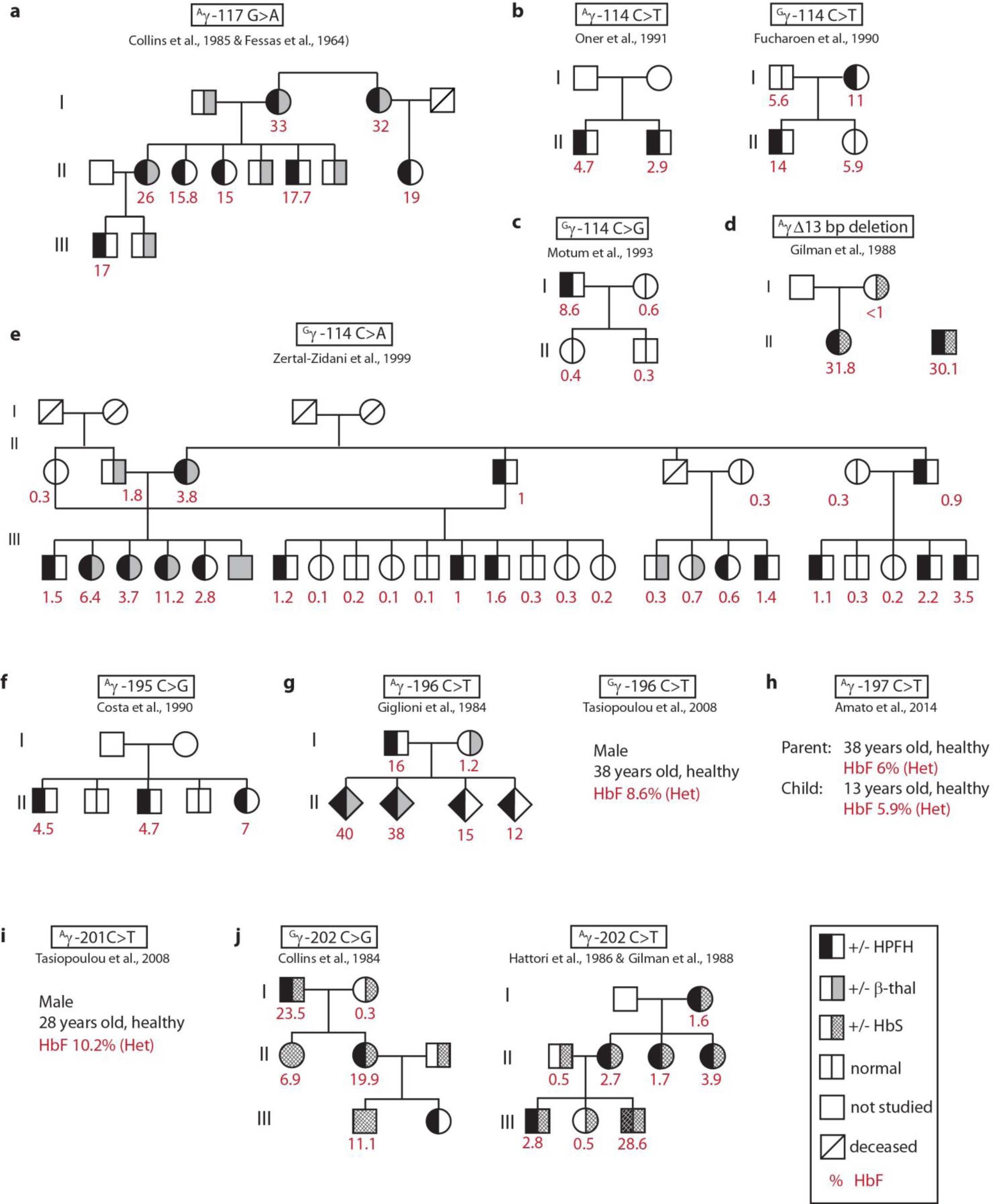Supplementary Figure 1