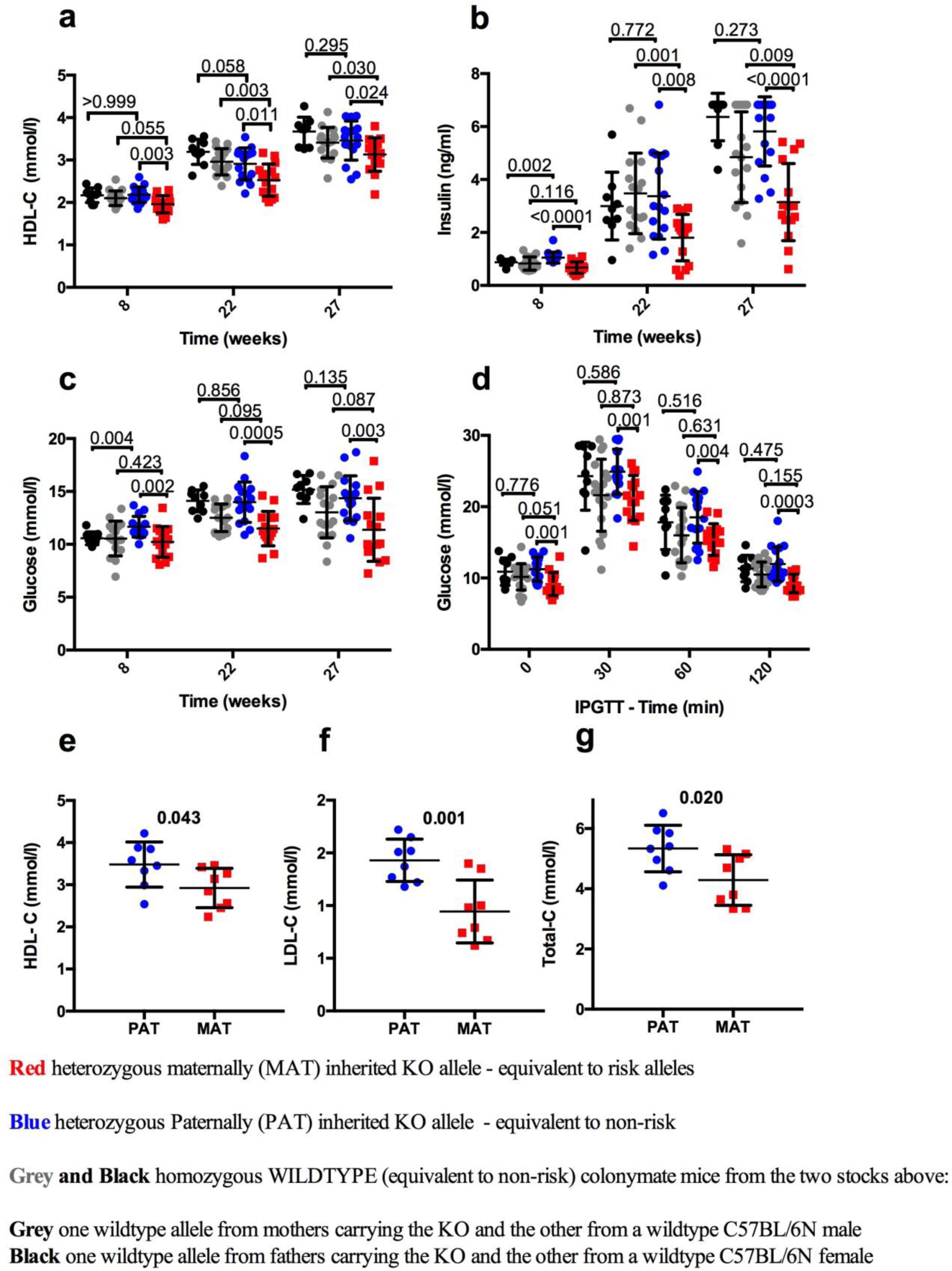 Supplementary Figure 4