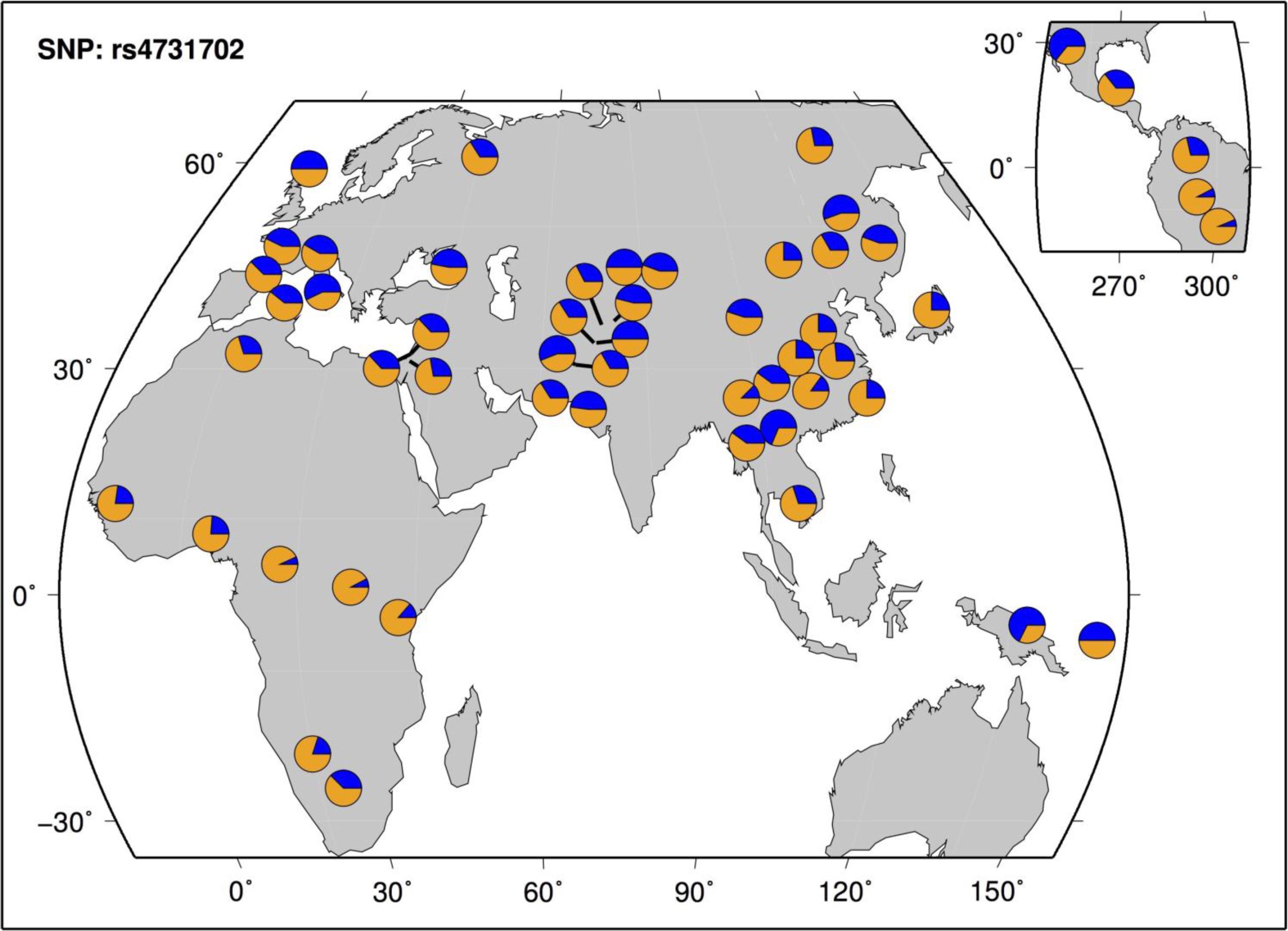 Supplementary Figure 2: Geographic distribution of rs4731702 in the Human Genome Diversity Panel.