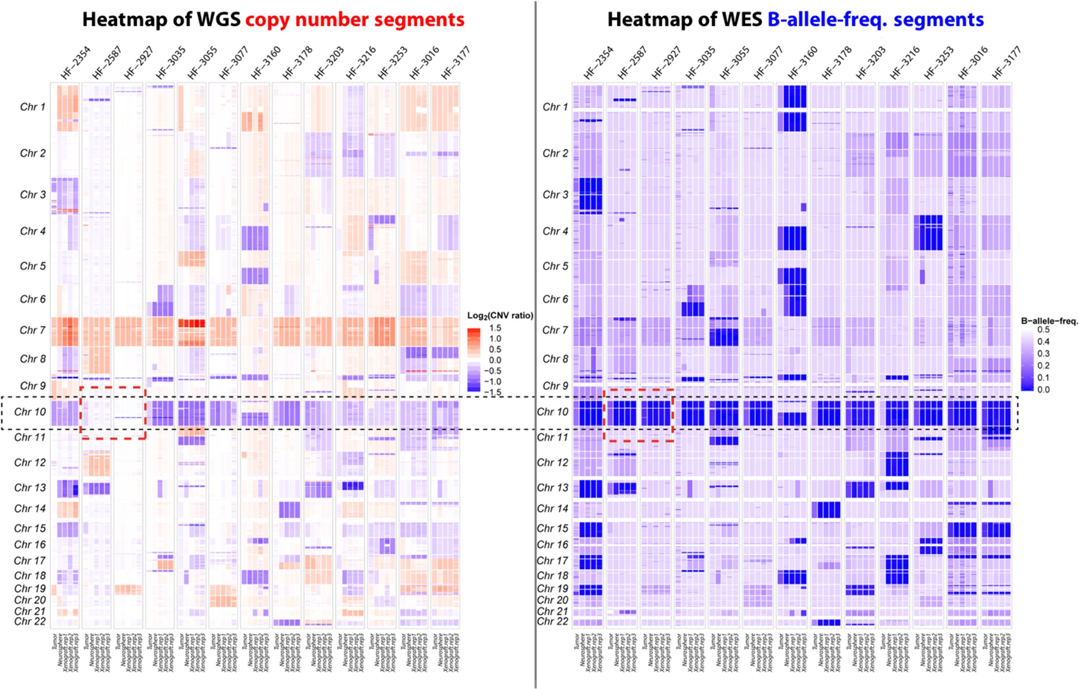 Supplementary Figure 1: Comparison of DNA copy number and loss of heterozygosity.