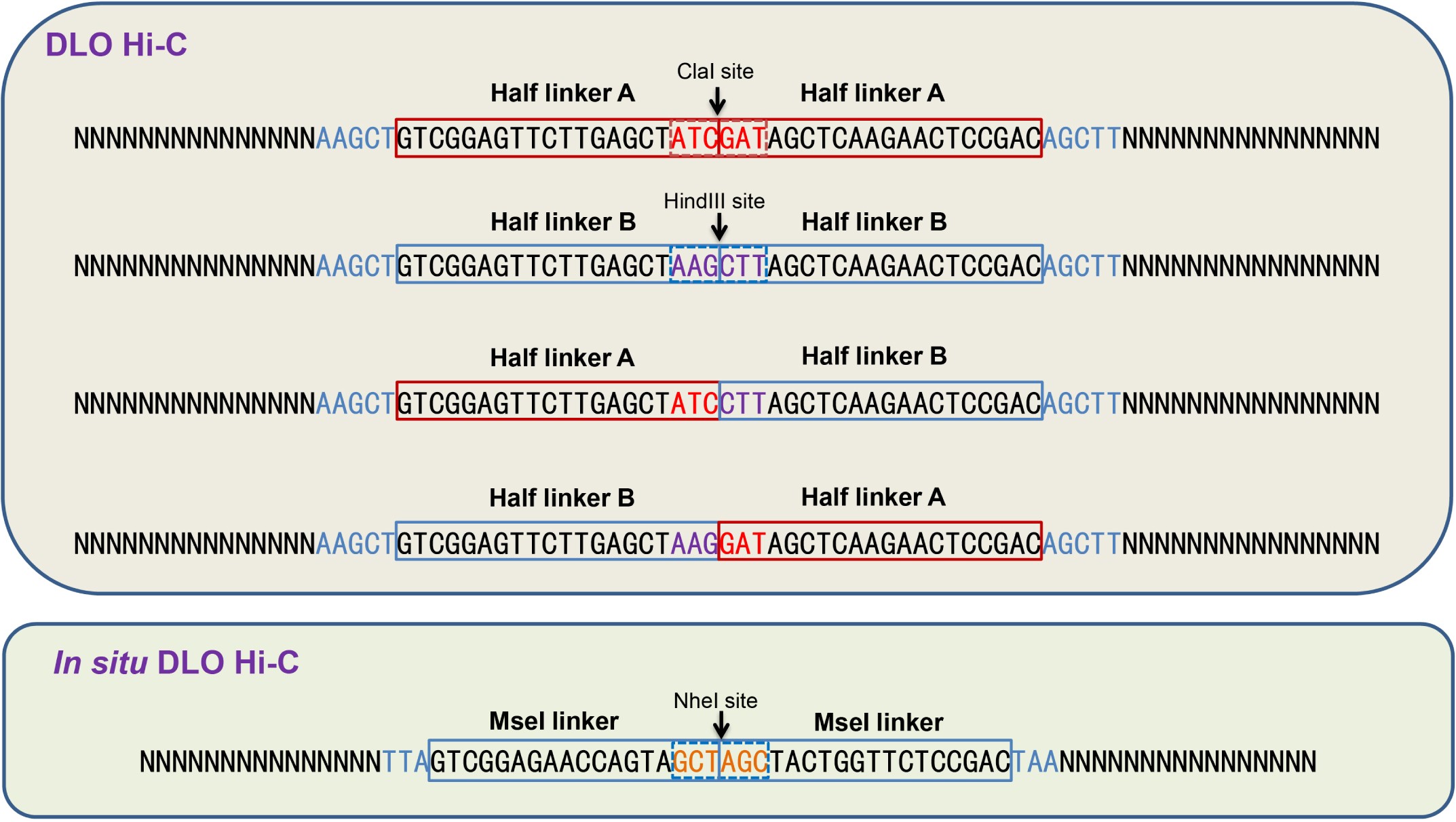 Supplementary Figure 5