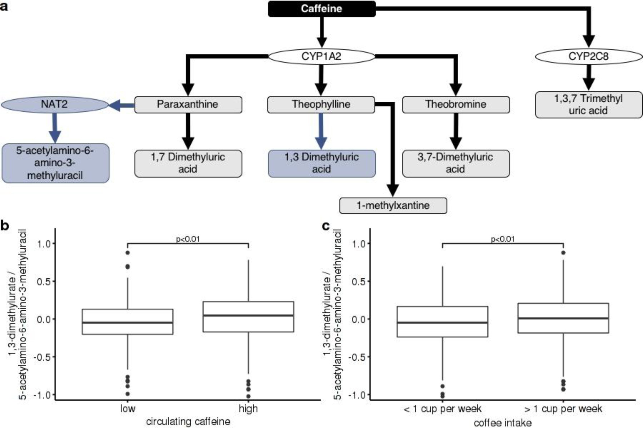 Supplementary Figure 3